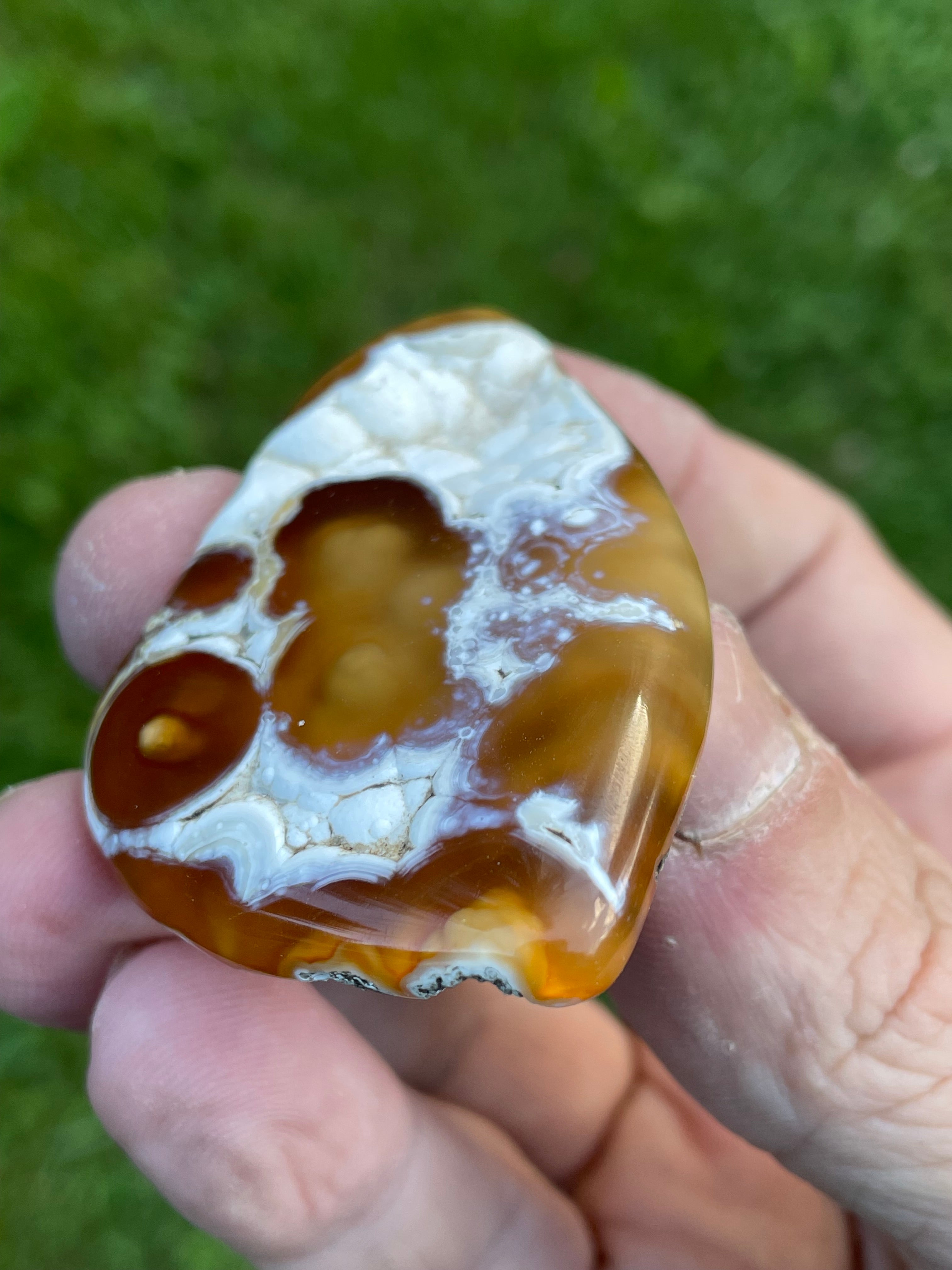 StoneBorn Creations Hand-Polished Agatized Coral Freeform with Amber Chalcedony, Orbicular Eyes & UV Fluorescence