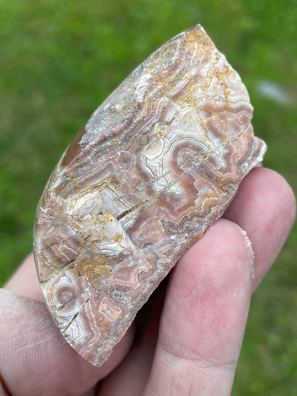 StoneBorn Creations Hand-Polished Georgia Crazy Lace Agate Freeform Display Stone – One-of-a-Kind Natural Art