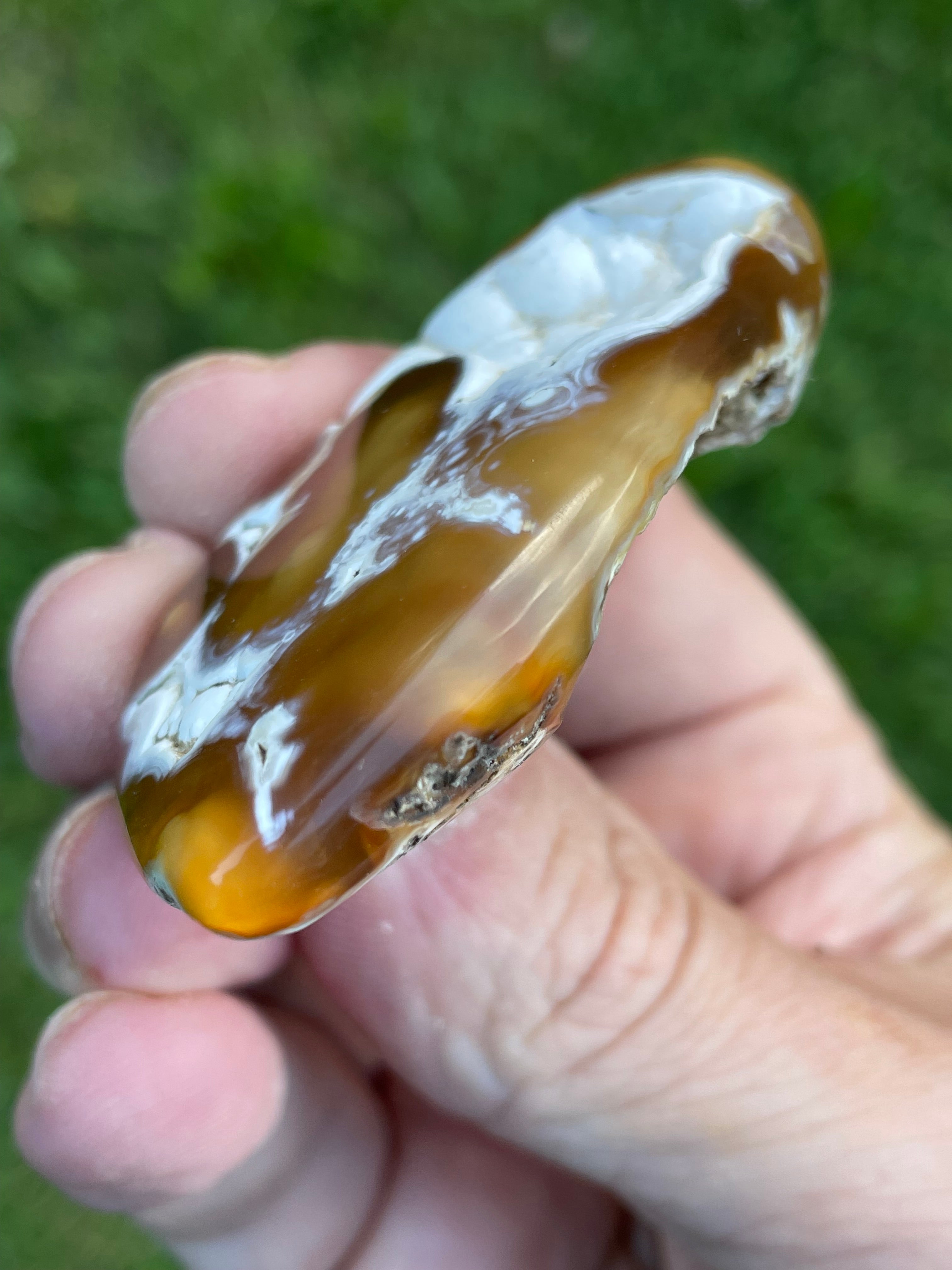 StoneBorn Creations Hand-Polished Agatized Coral Freeform with Amber Chalcedony, Orbicular Eyes & UV Fluorescence