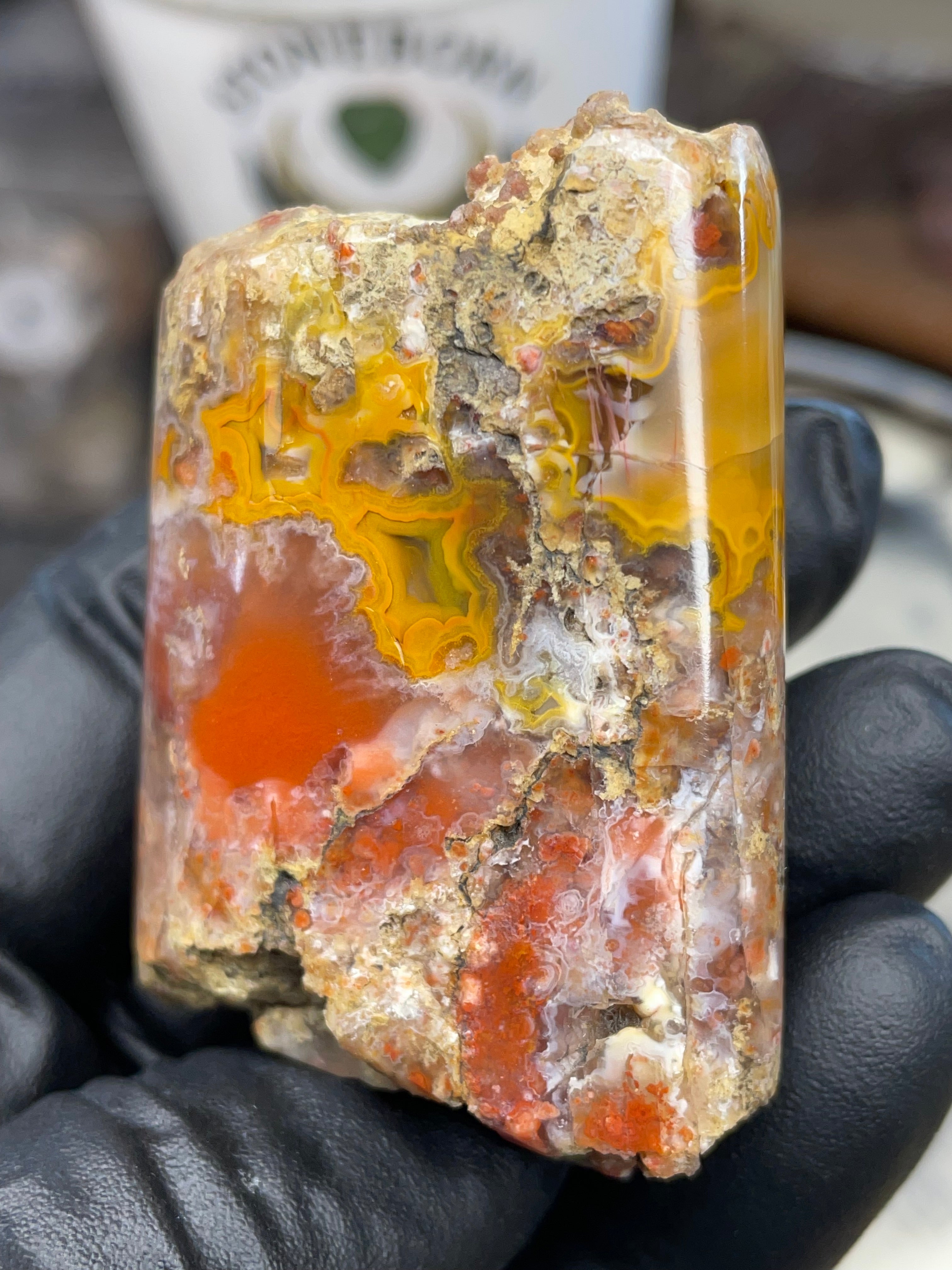 Hand-Polished Banded Agate — Raw & Refined StoneBorn Piece