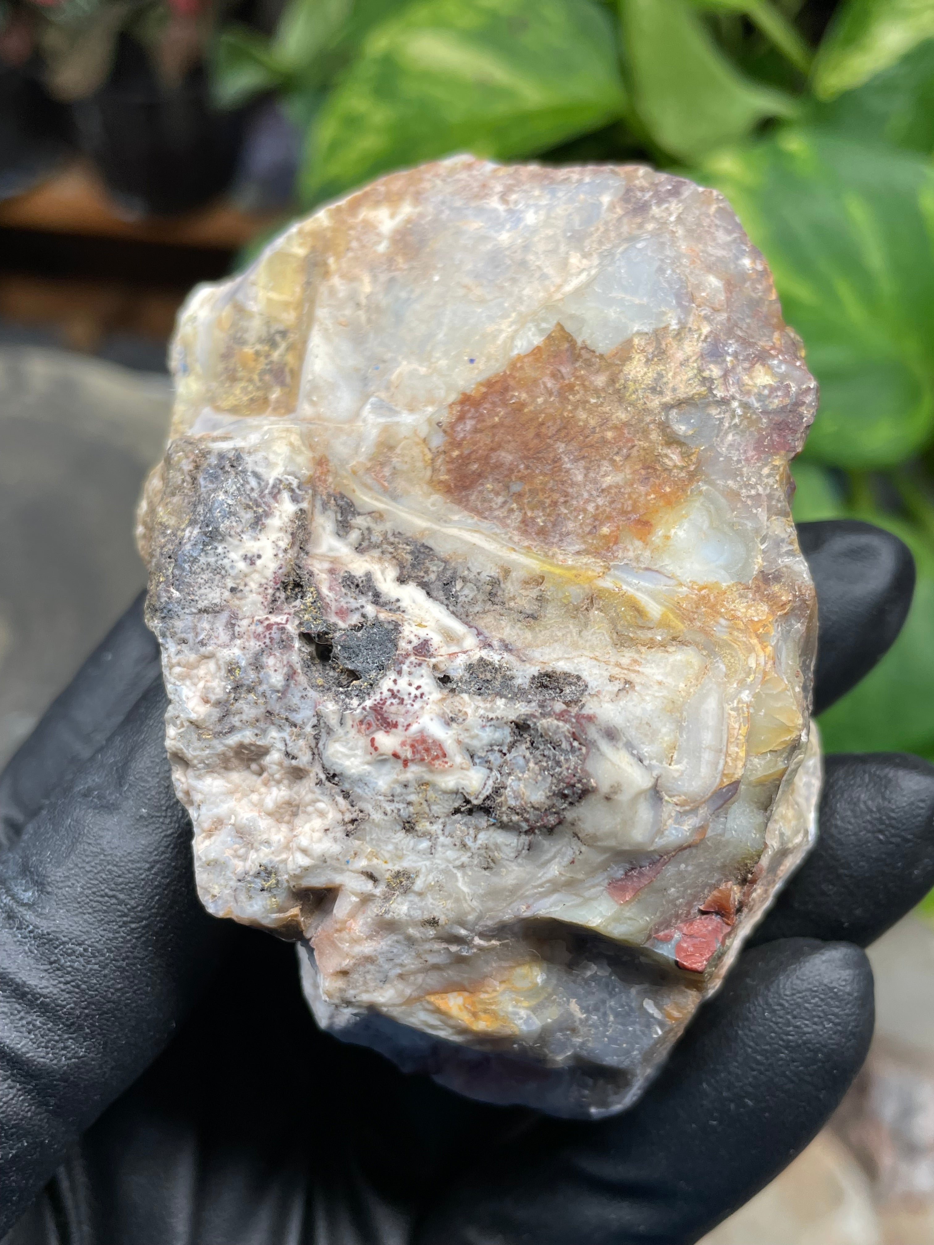 StoneBorn Creations Hand-Polished Agate Pair – Soft White Plume Details, Natural Banding & Raw Earthy Edges