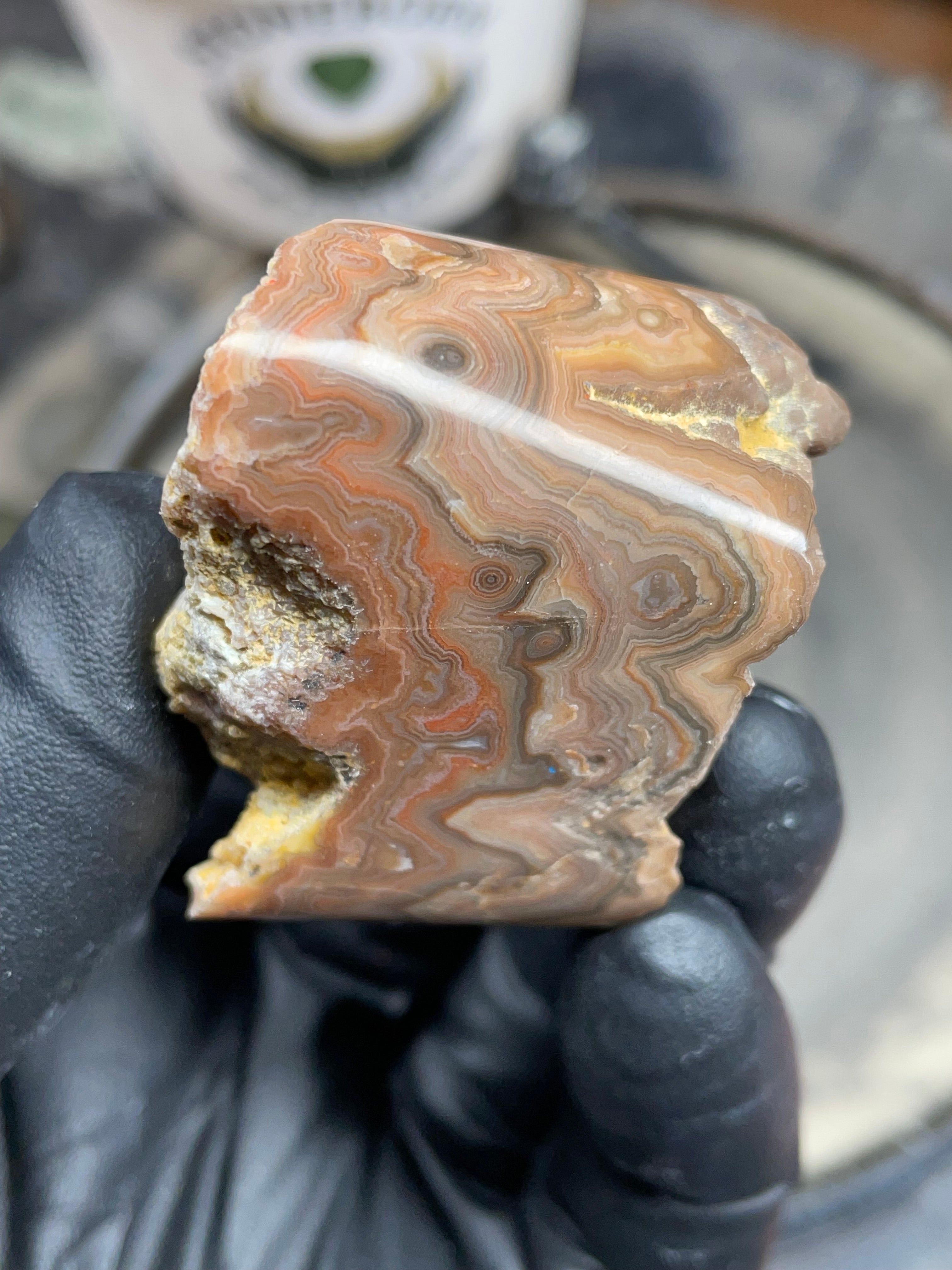 StoneBorn Creations Hand-Polished Georgia Crazy Lace Agate with Natural Quartz Vein & Raw Matrix