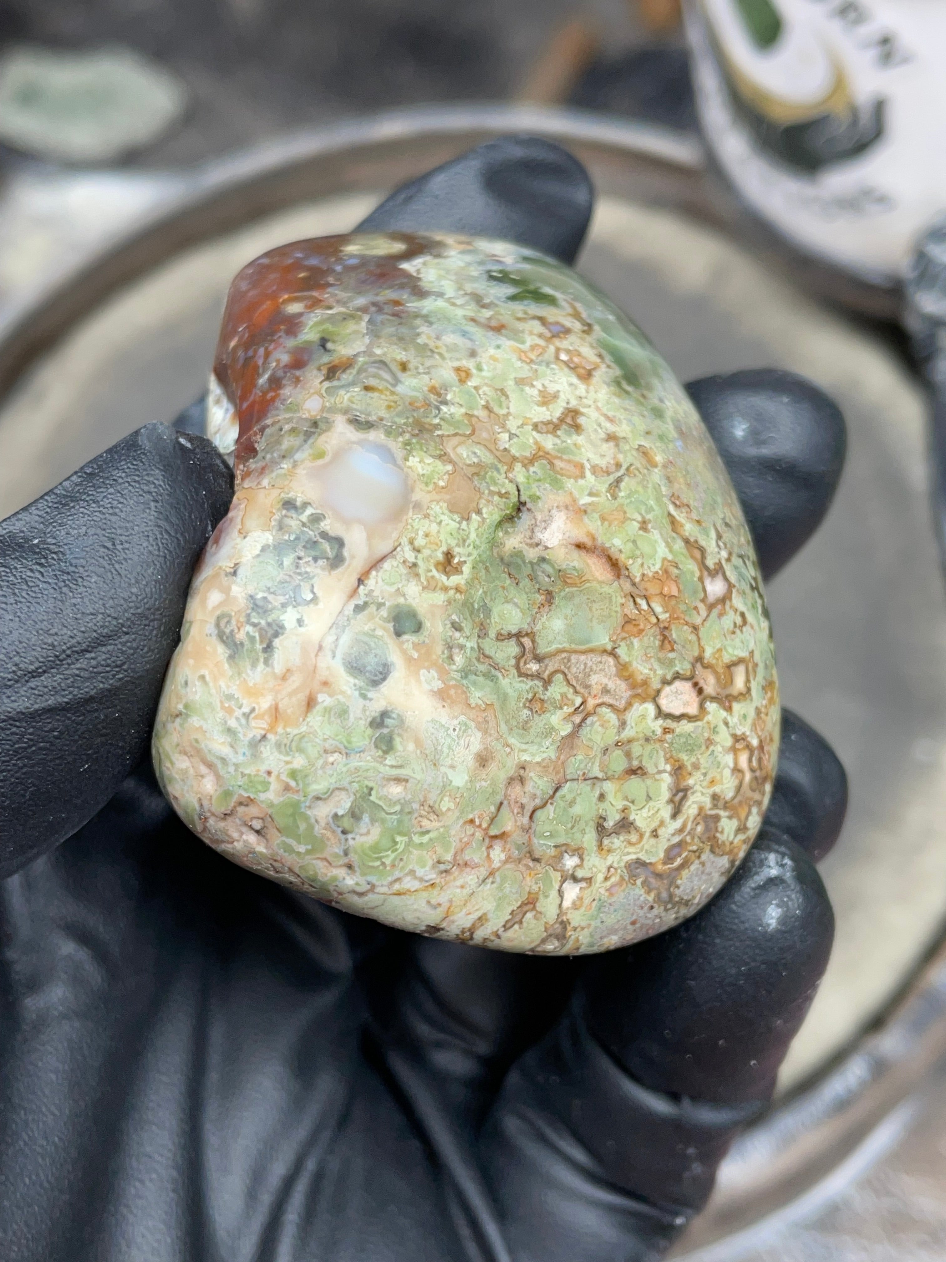 StoneBorn Creations Hand-Polished Multicolor Lace Agate with Natural Green and Rust Patterns – One-of-a-Kind Display Stone