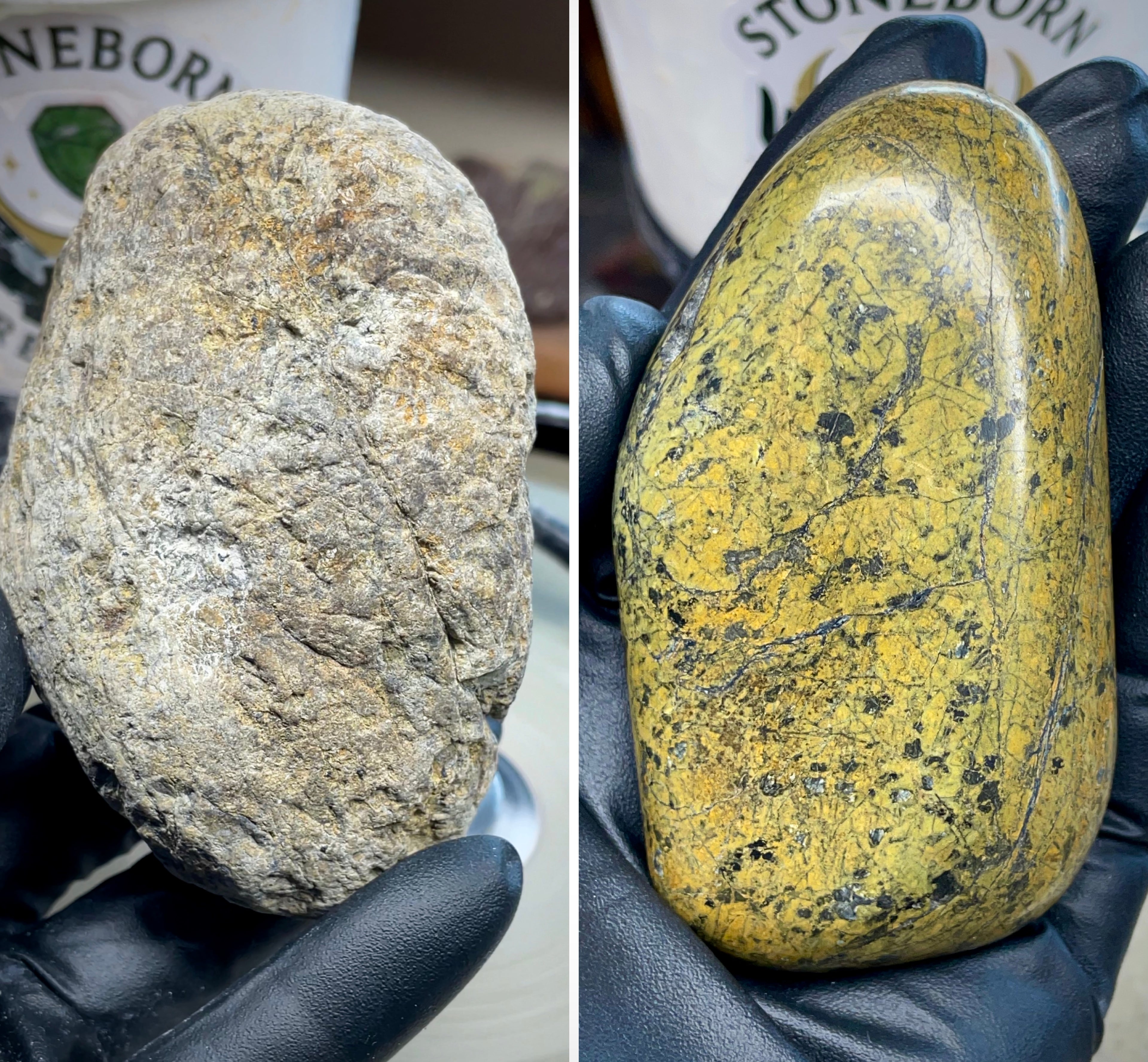 StoneBorn | Hand-Polished Serpentine Earth Stone