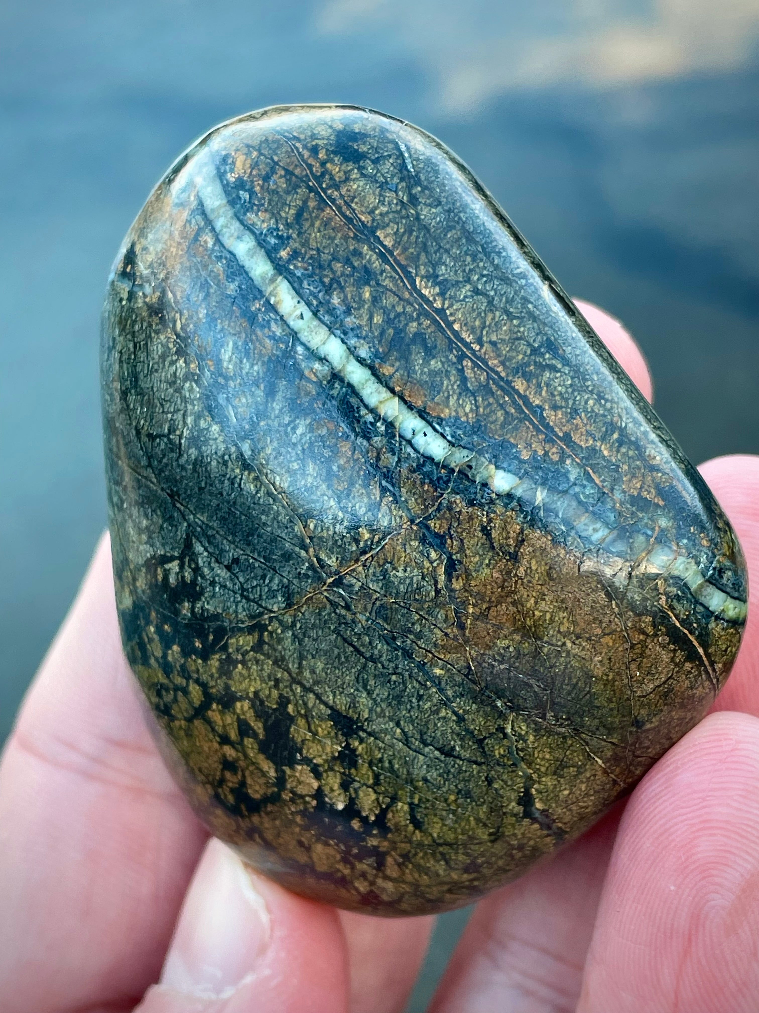 ⚡ Polished Vermont Serpentine – Quartz Vein Lightning Stone