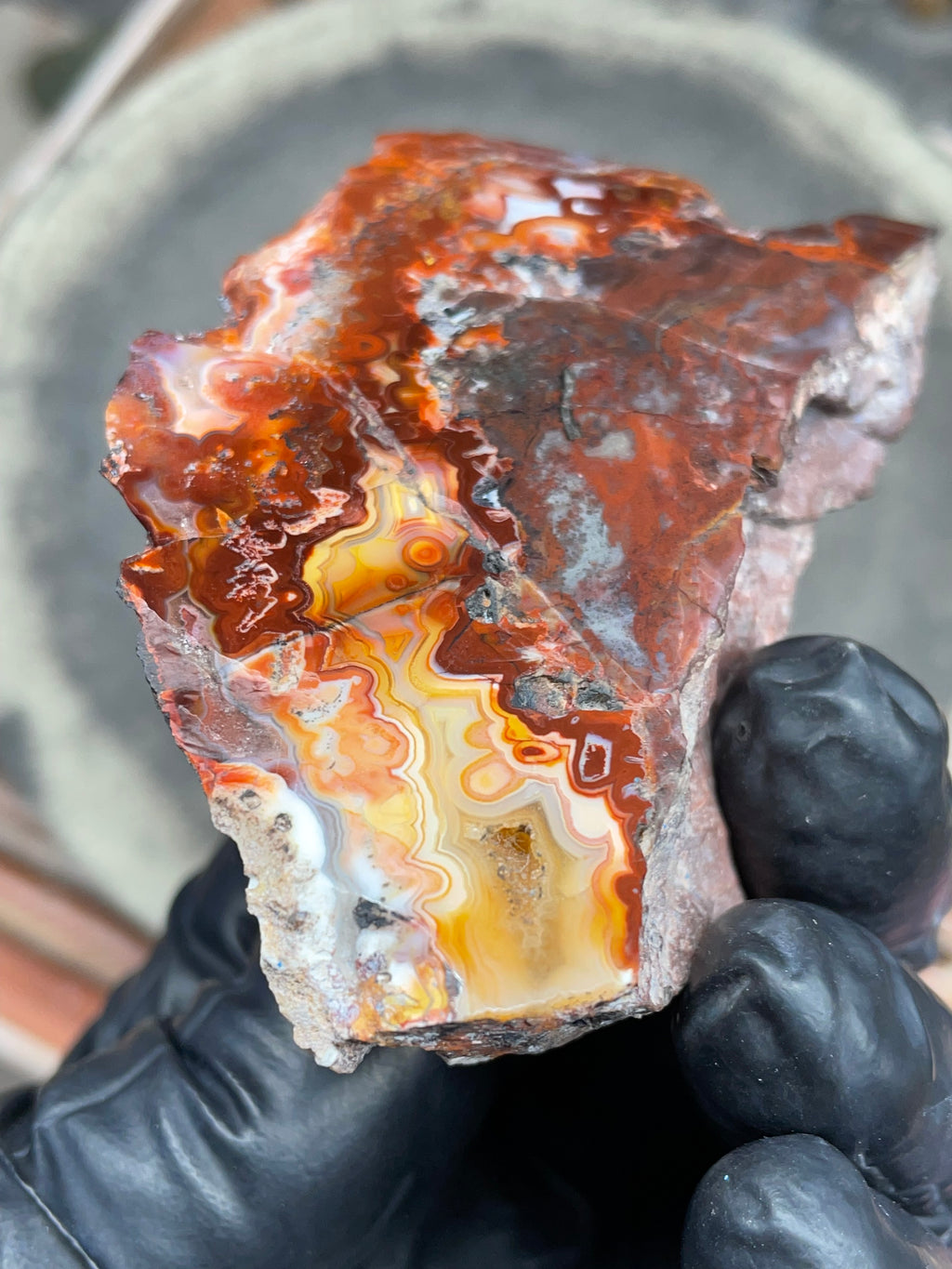 StoneBorn Creations — Hand-Polished Banded Agate (Curved Flat-Lap Polish)