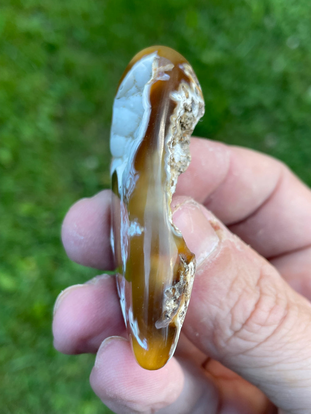 StoneBorn Creations Hand-Polished Agatized Coral Freeform with Amber Chalcedony, Orbicular Eyes & UV Fluorescence