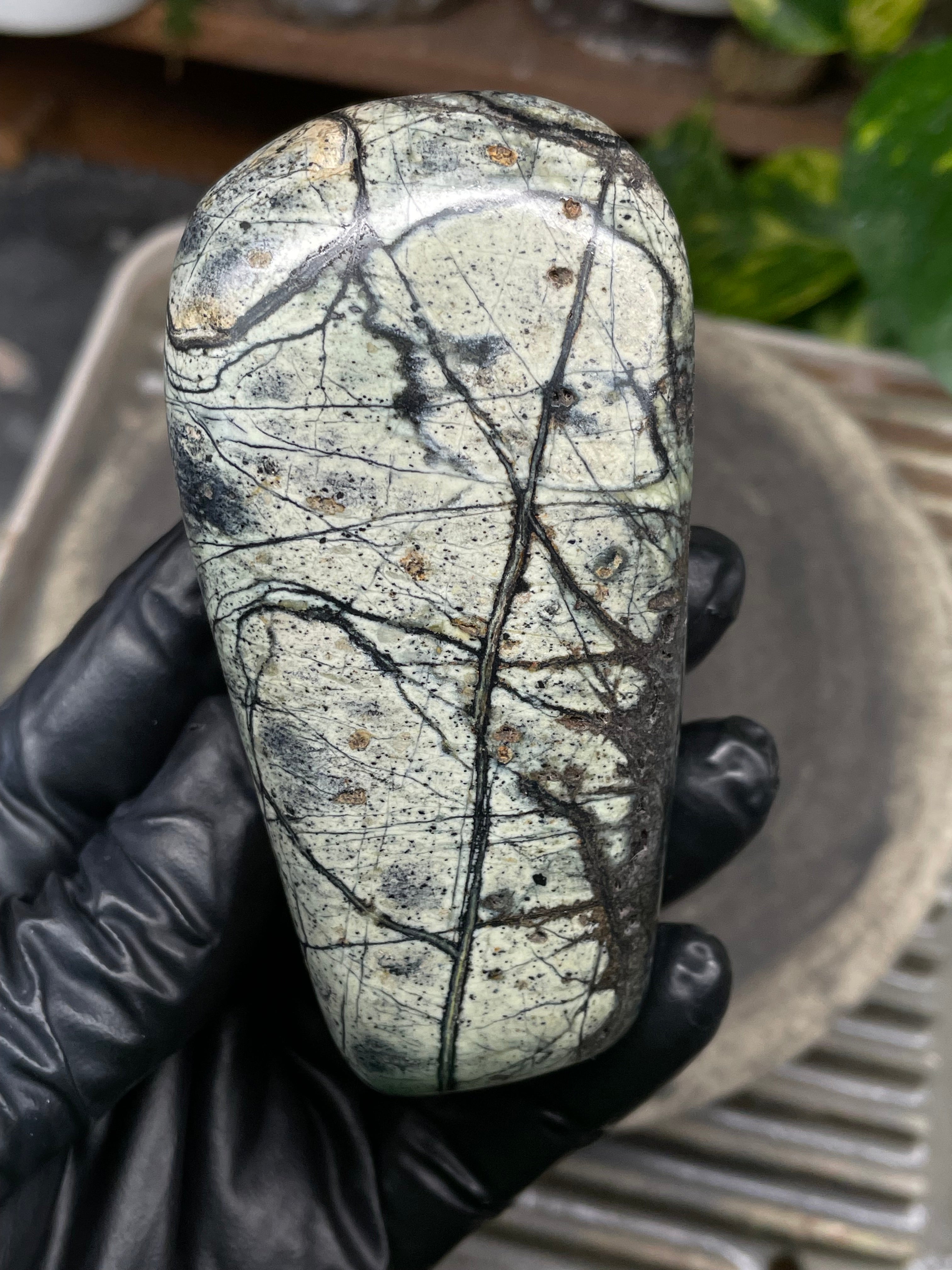 StoneBorn Creations Hand-Polished Vermont Serpentine with Spiderweb Veining, Soft Ivory Green Tones, and Natural Earth Markings