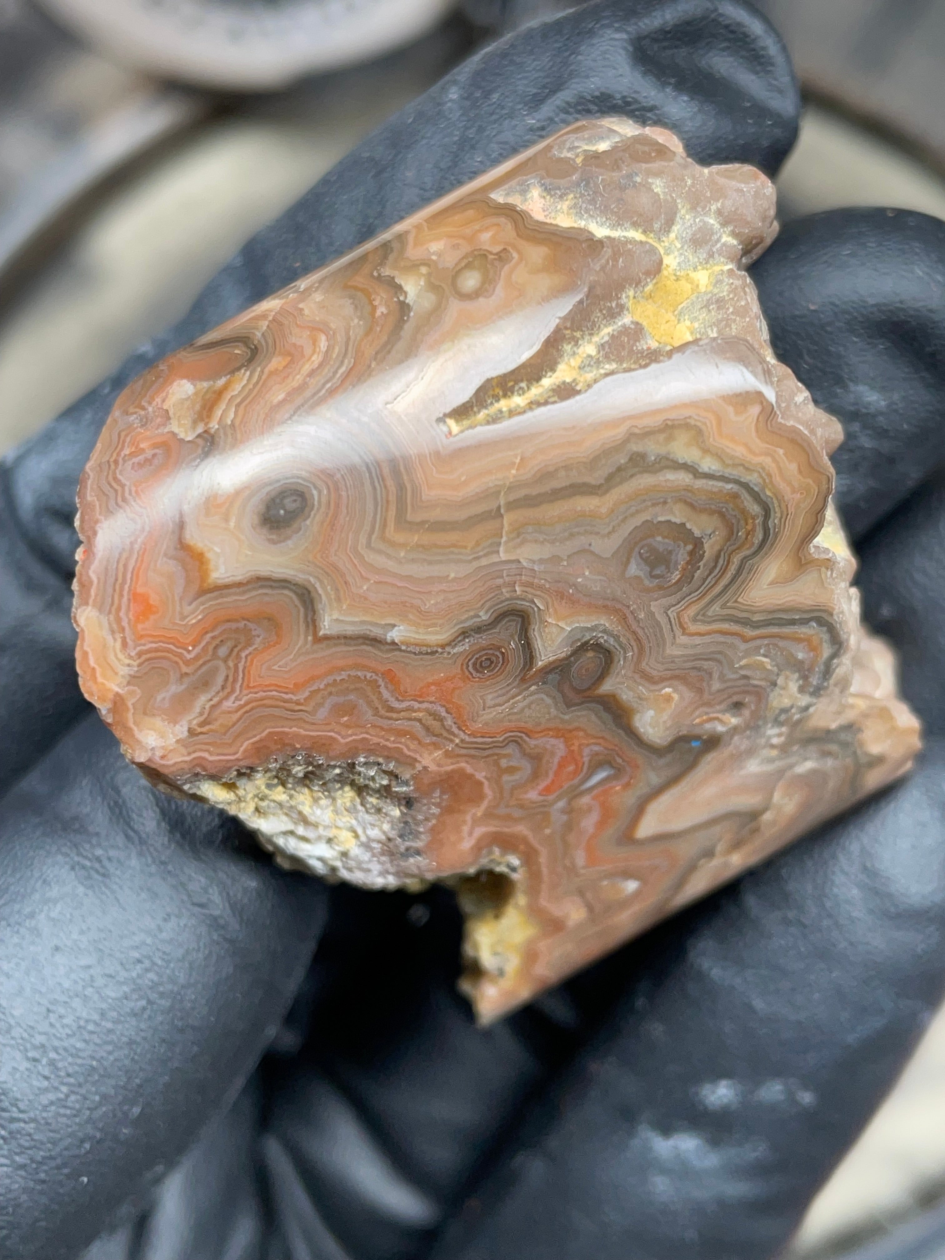 StoneBorn Creations Hand-Polished Georgia Crazy Lace Agate with Natural Quartz Vein & Raw Matrix