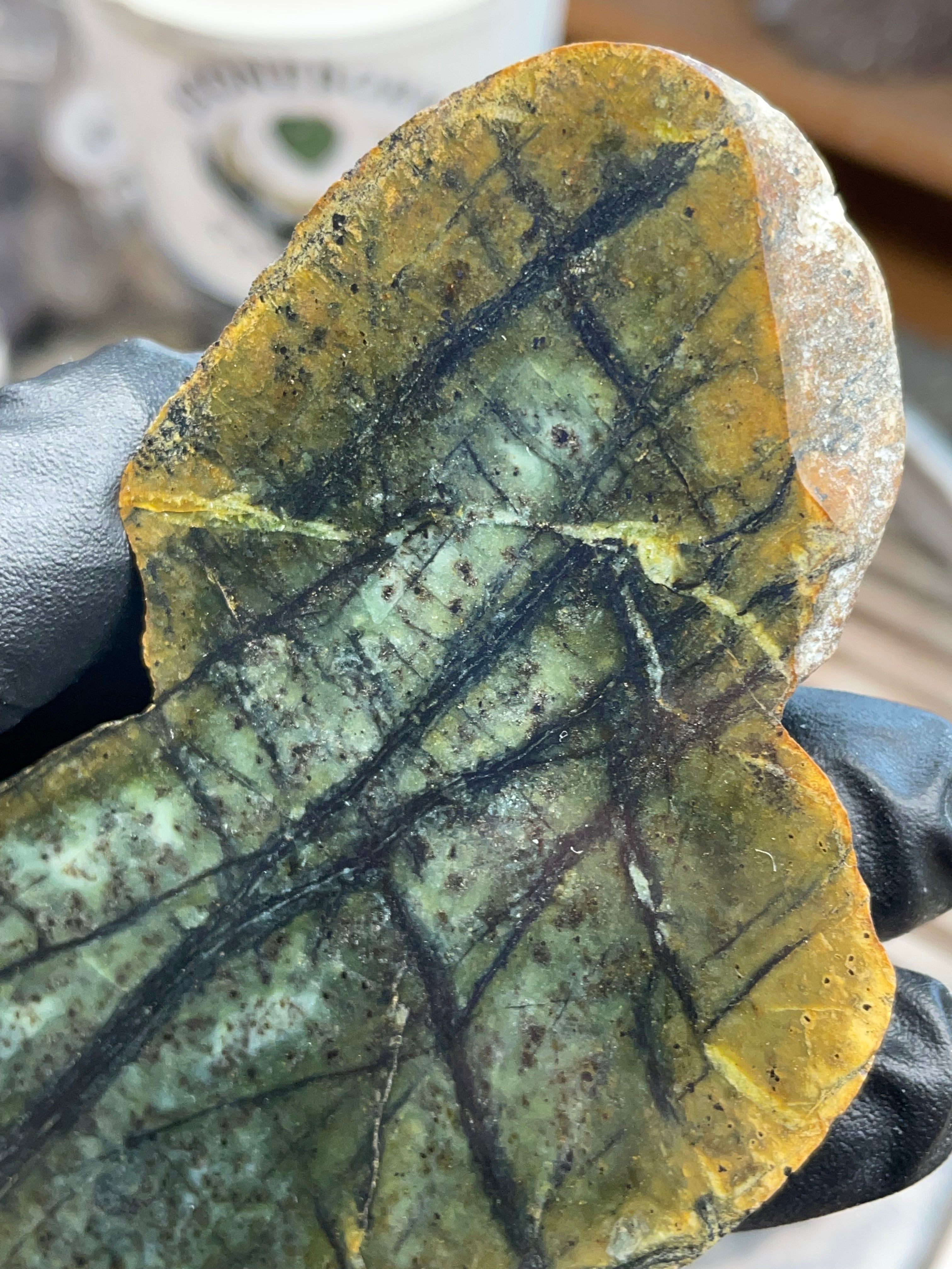 Hand-Collected Veined Serpentine Slab | Raw & Refined StoneBorn Specimen
