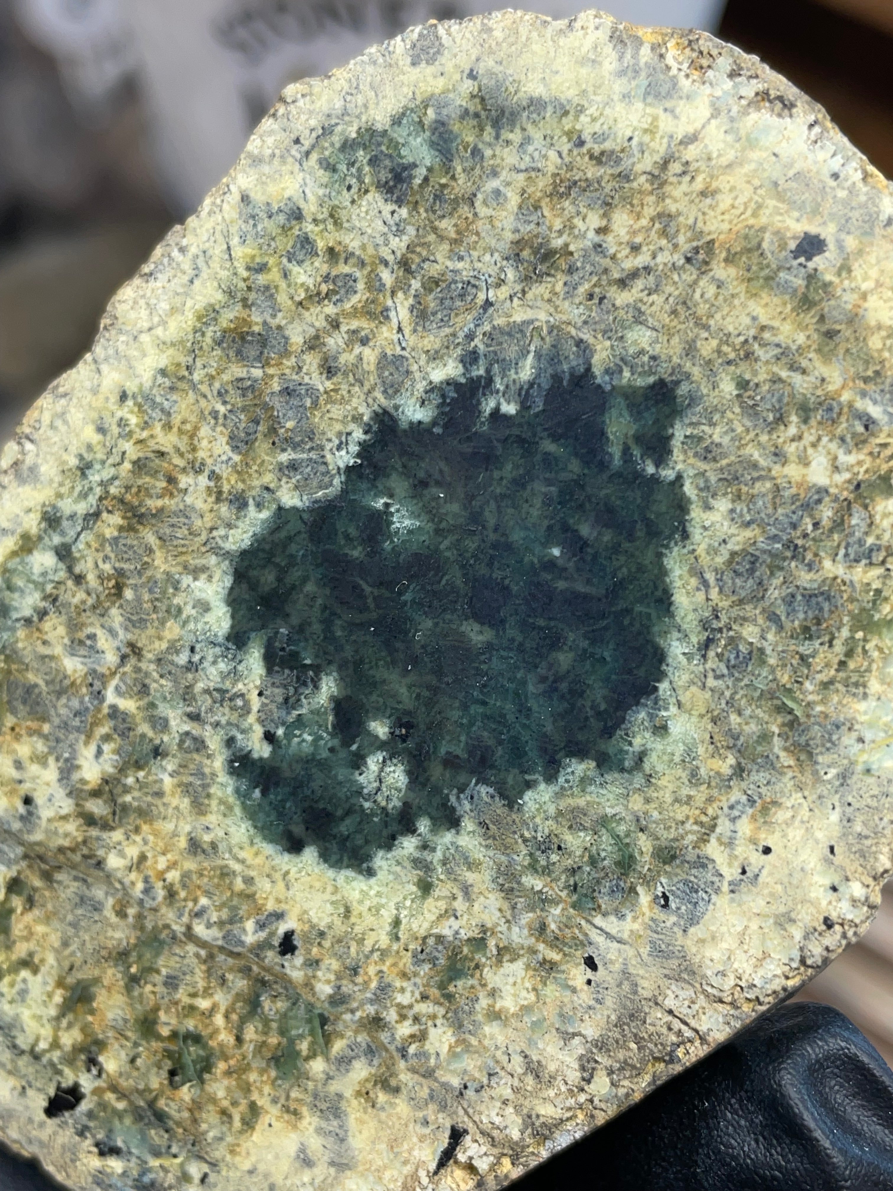 Hand-Collected Serpentine with Natural Jade Core | Raw & Polished StoneBorn Specimen