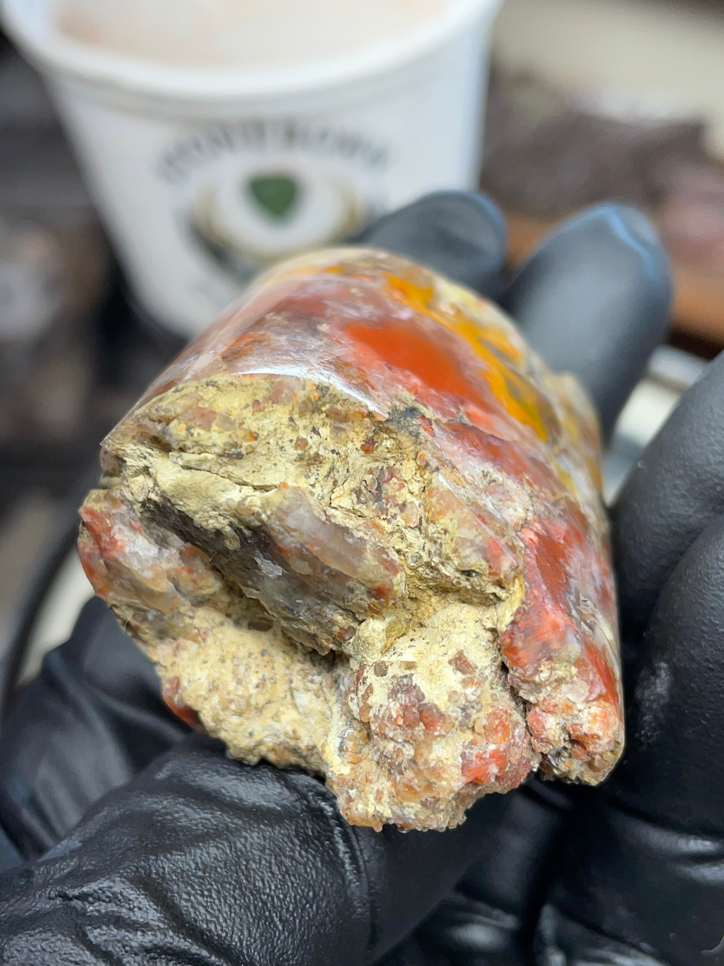 Hand-Polished Banded Agate — Raw & Refined StoneBorn Piece