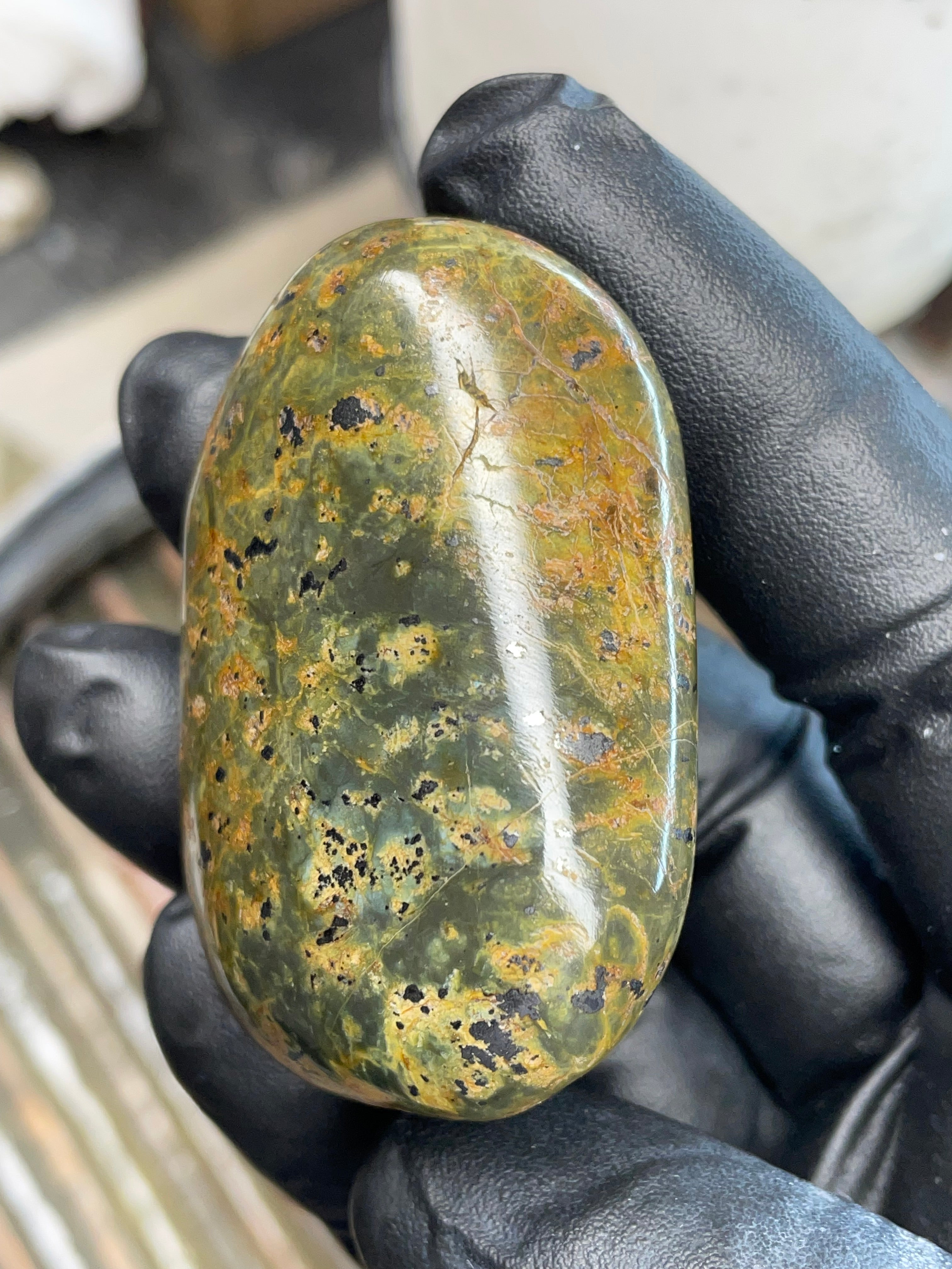 Green Serpentine with Magnetite — Hand-Polished Freeform Stone