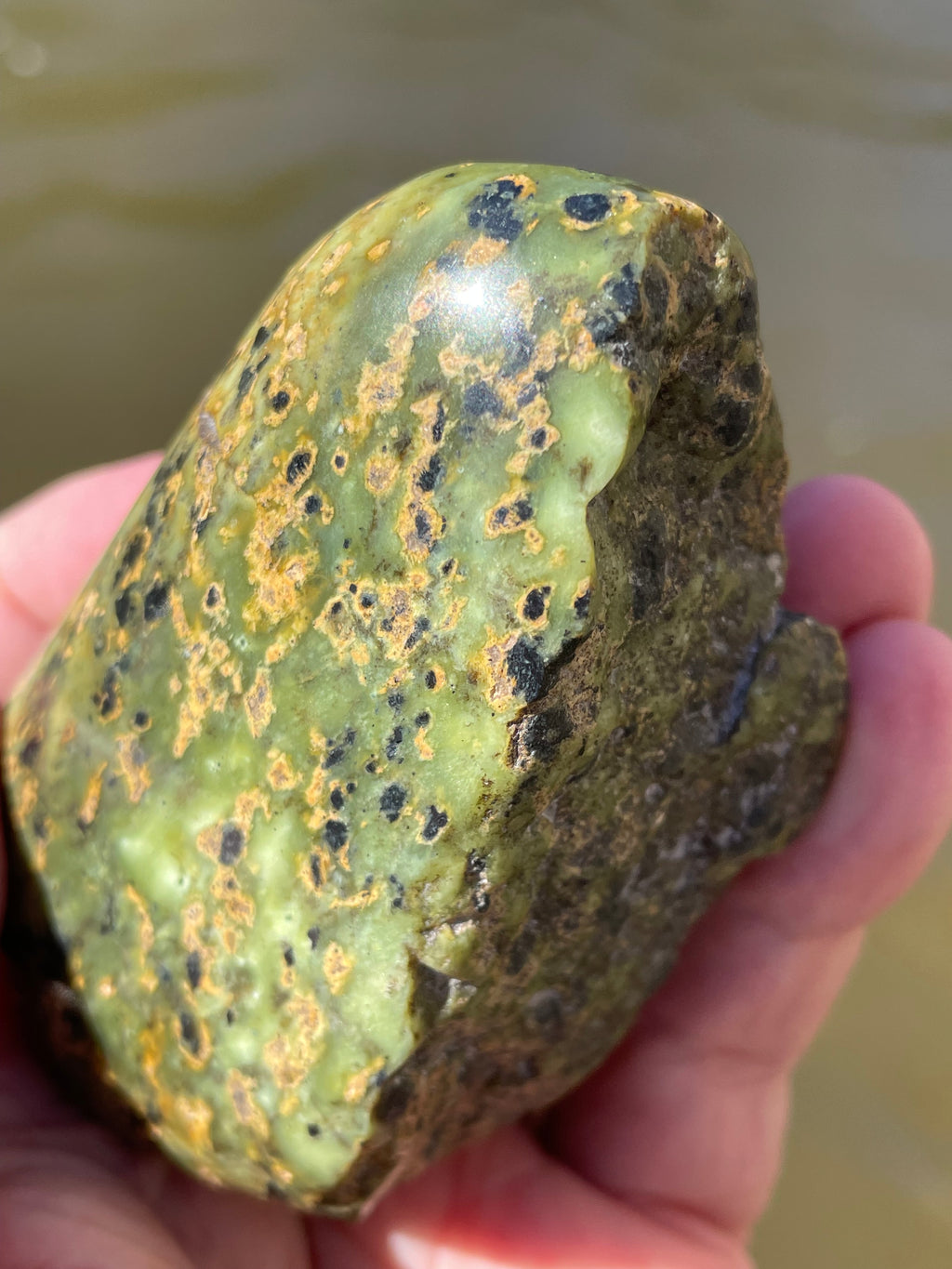 StoneBorn Creations Hand-Polished Vermont Serpentine with Black Inclusions, Golden Earth Matrix, and Natural Freeform Finish