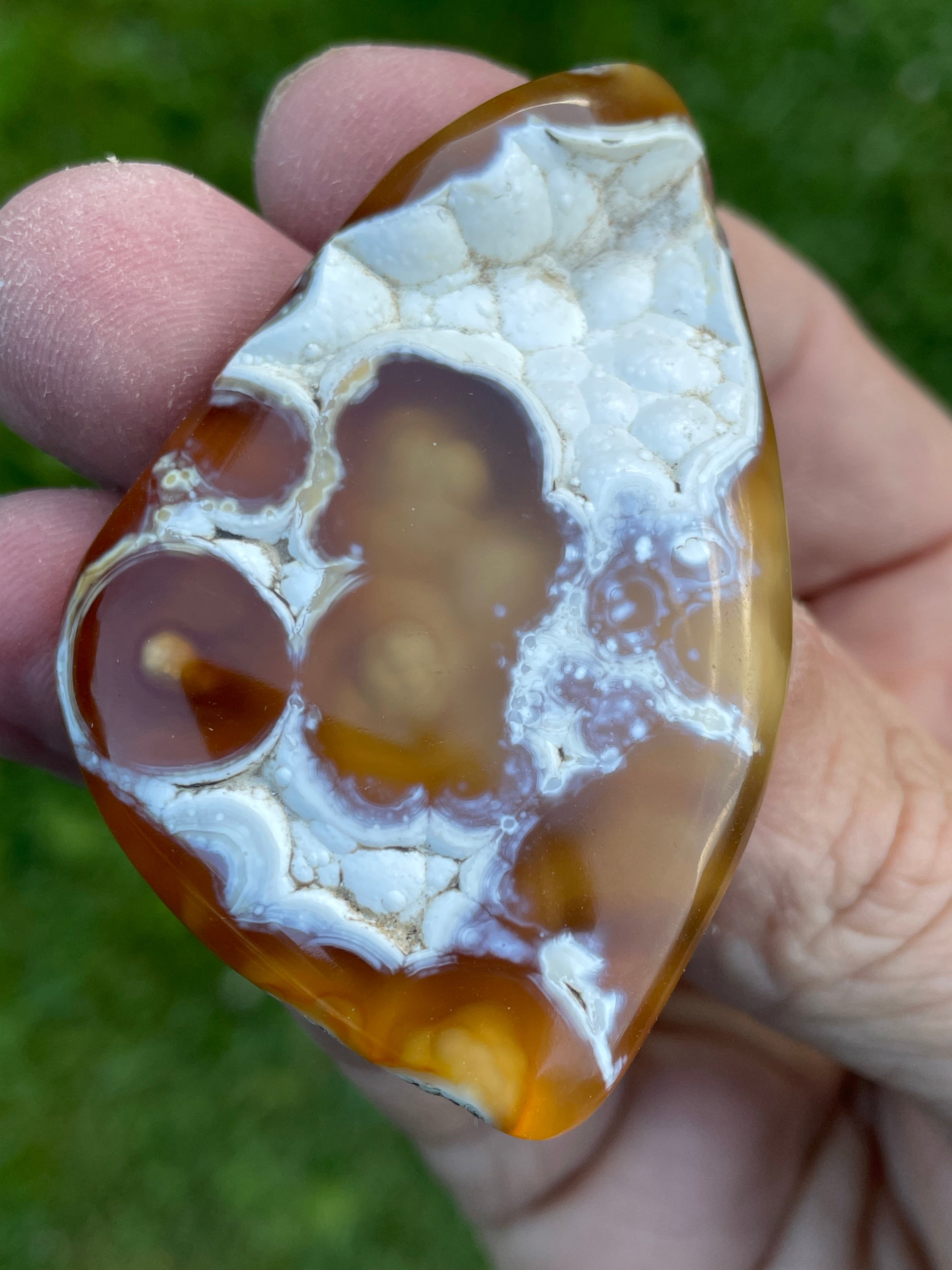 StoneBorn Creations Hand-Polished Agatized Coral Freeform with Amber Chalcedony, Orbicular Eyes & UV Fluorescence