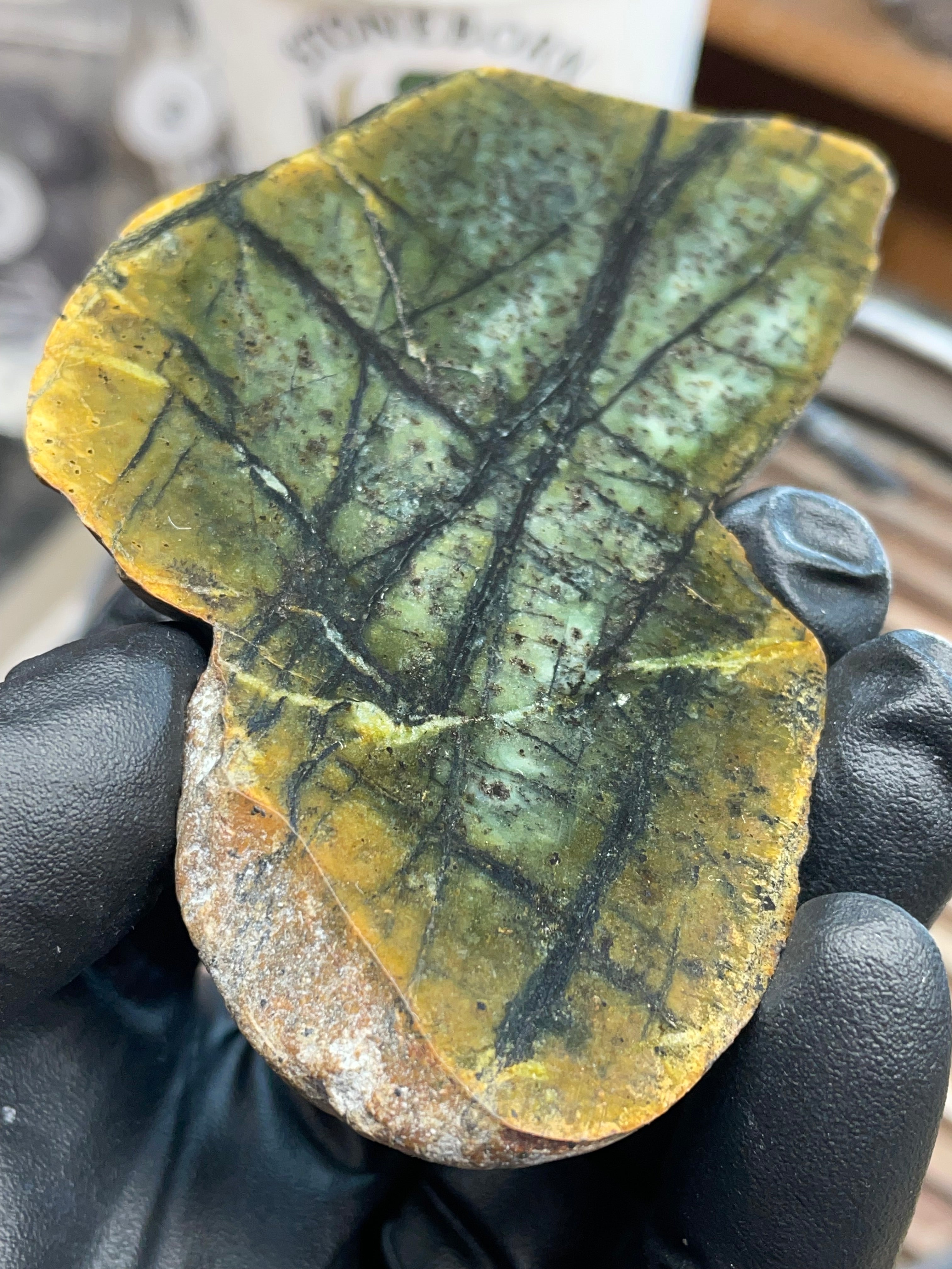 Hand-Collected Veined Serpentine Slab | Raw & Refined StoneBorn Specimen