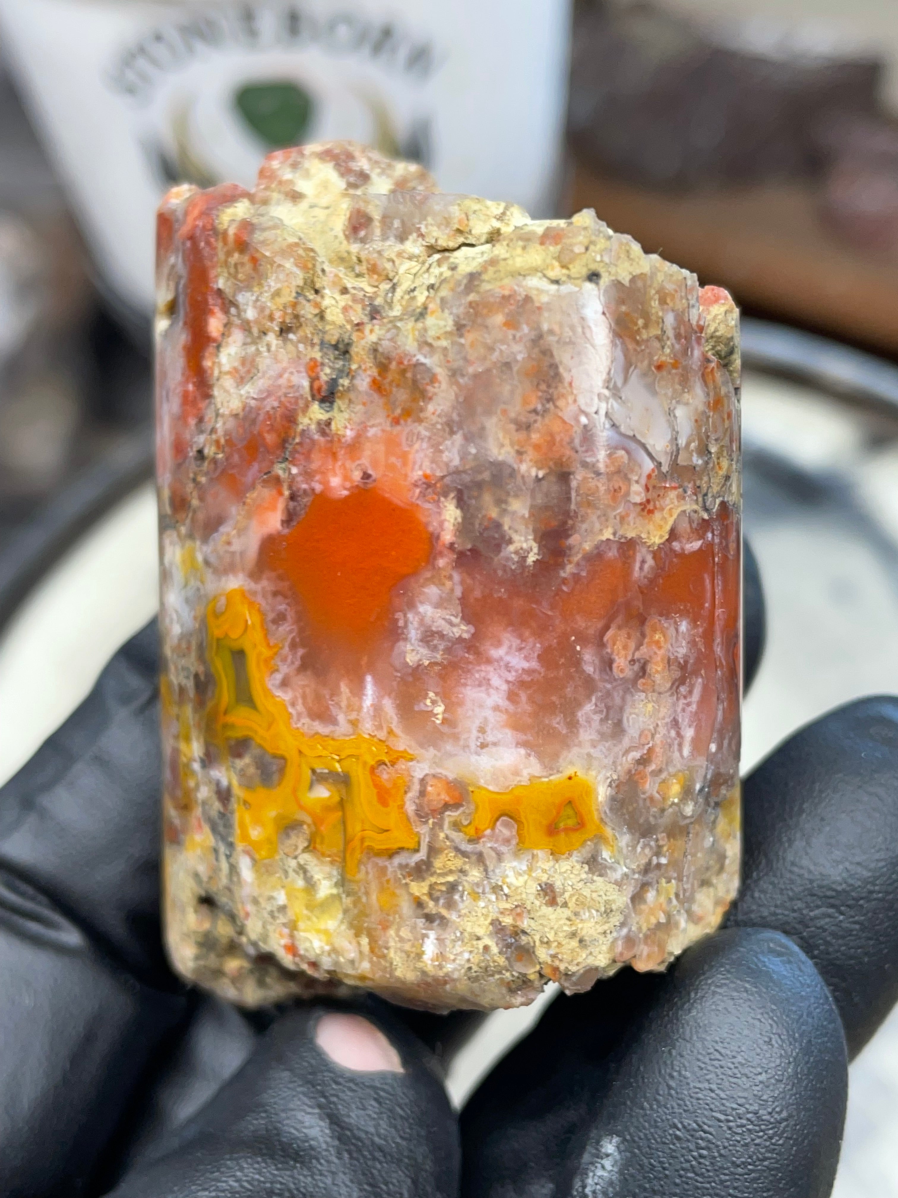 Hand-Polished Banded Agate — Raw & Refined StoneBorn Piece