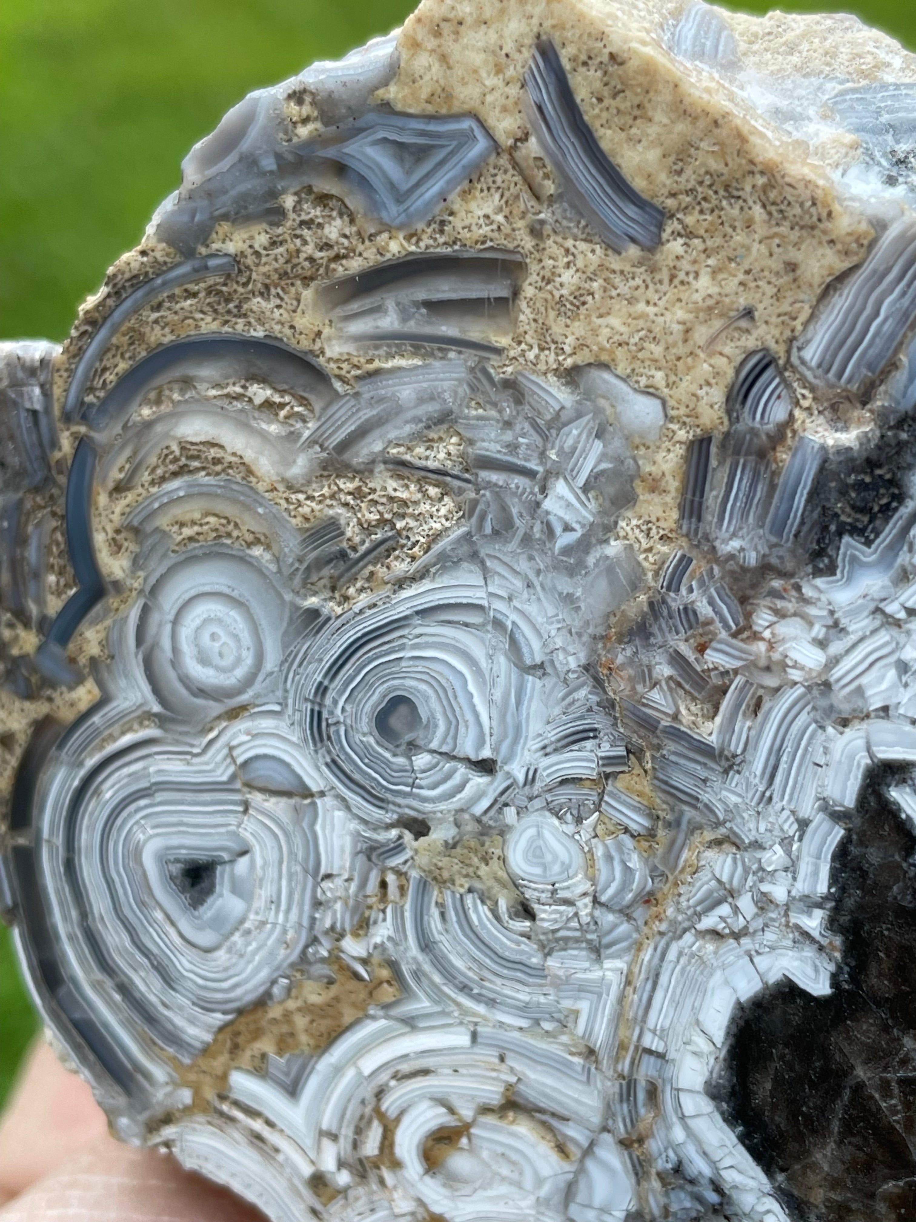 StoneBorn Creations Hand-Polished Tuxedo Lace Agate Bookmatched Pair | One-of-a-Kind Natural Display Stones