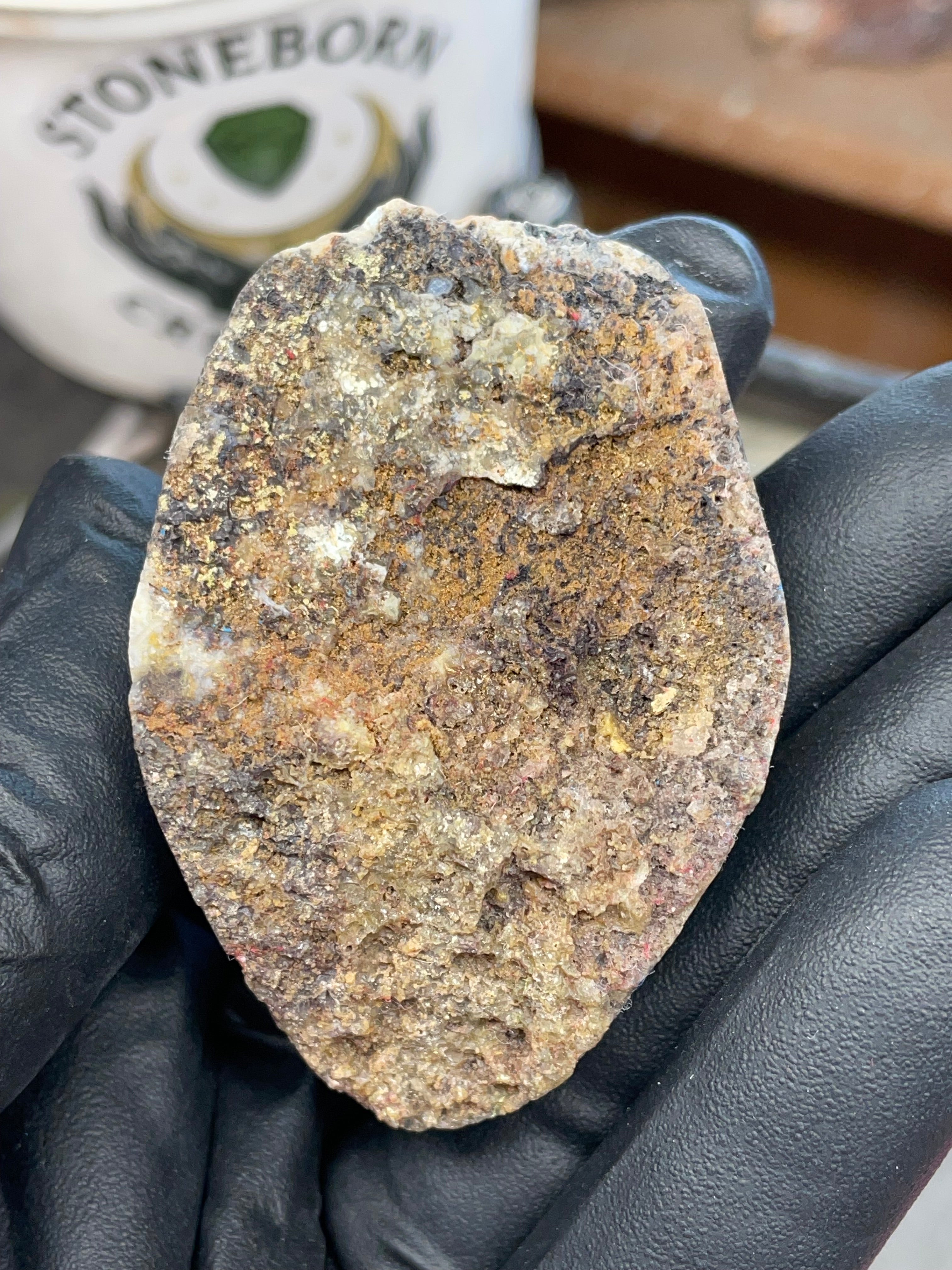 StoneBorn Creations – Hand-Collected & Hand-Polished Fortification Agate (Raw Top & Bottom)