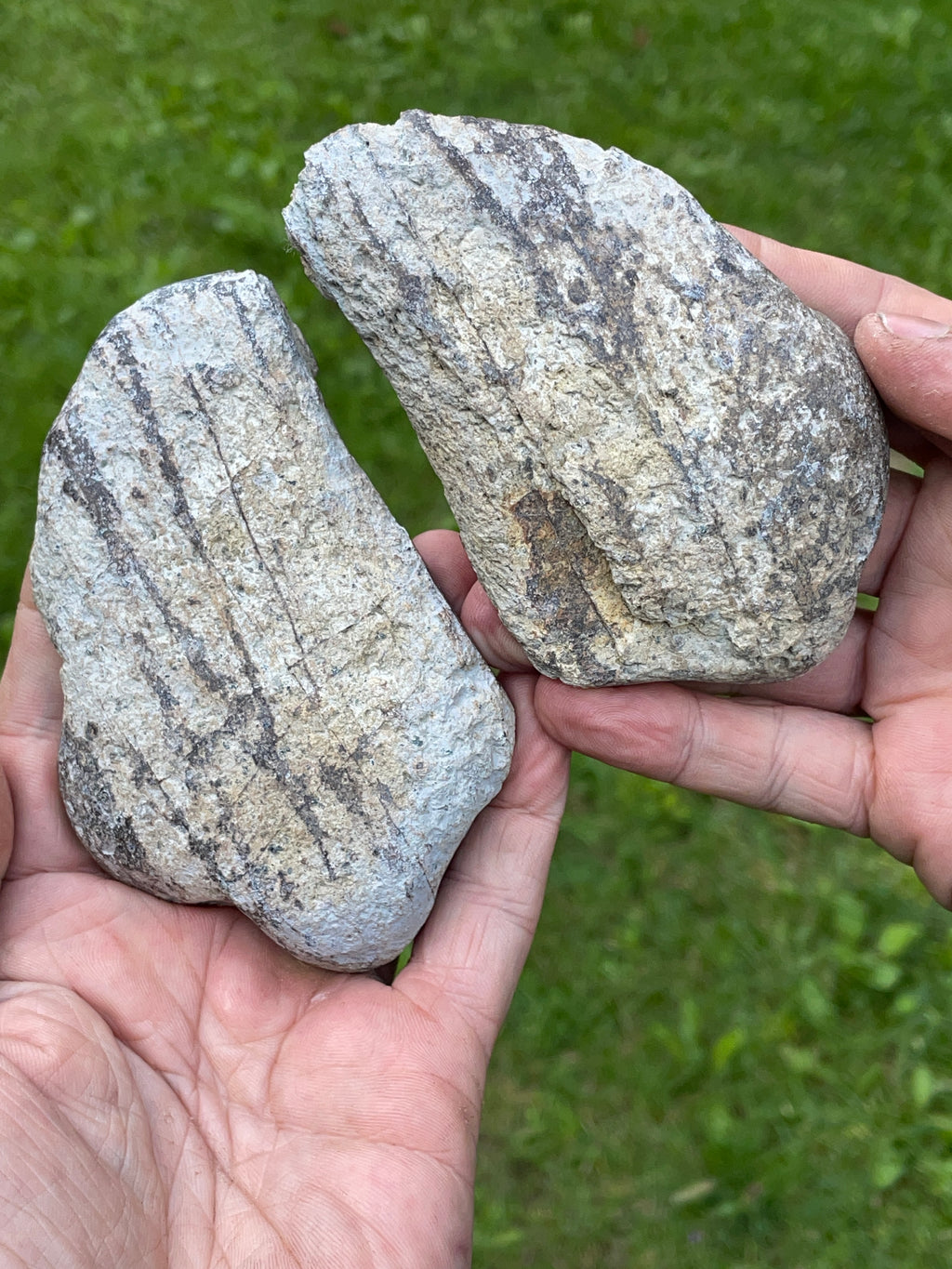 StoneBorn Creations – Deep Green Serpentine Stone Pair | Natural Matching Halves with Golden Earth Tones