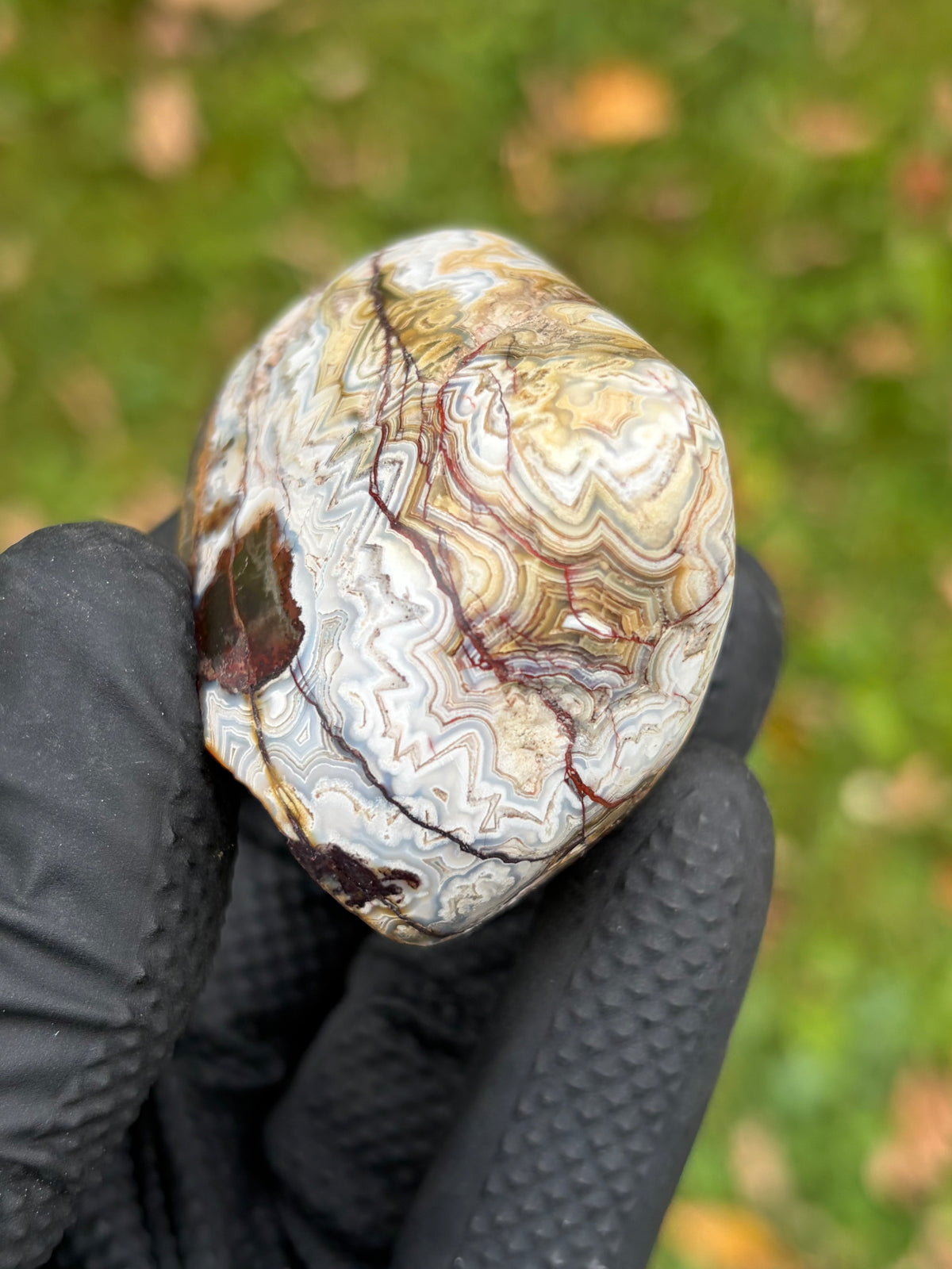 StoneBorn Creations – Crazy Lace Agate | Intricate Blue, Cream & Golden Banding | Hand-Polished Natural Stone