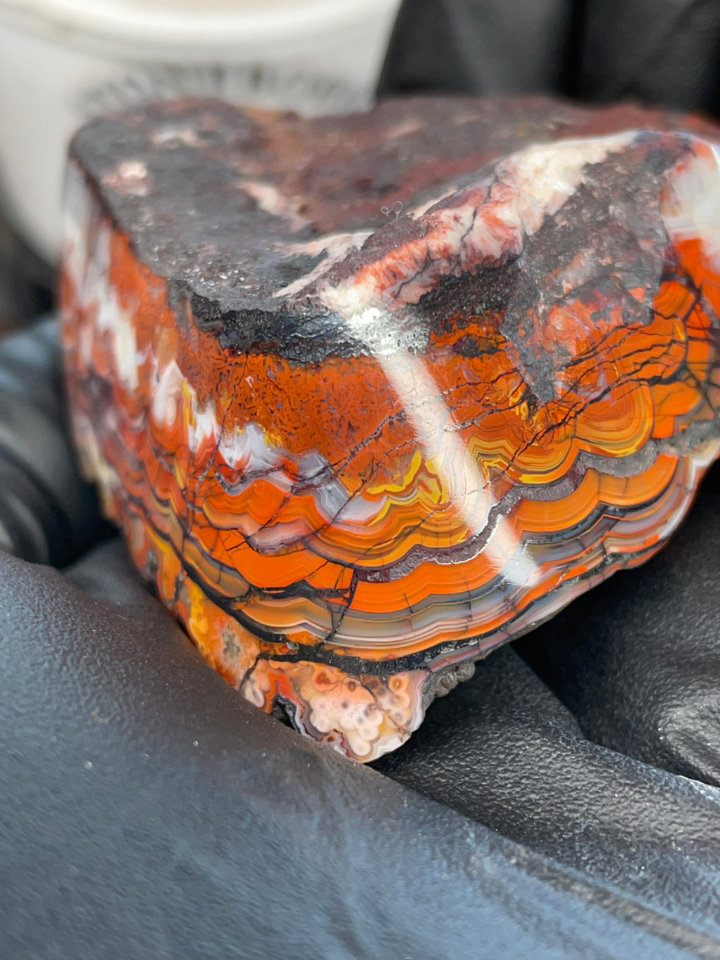 Hand Polished Banded Agate (Raw + Refined Edge)