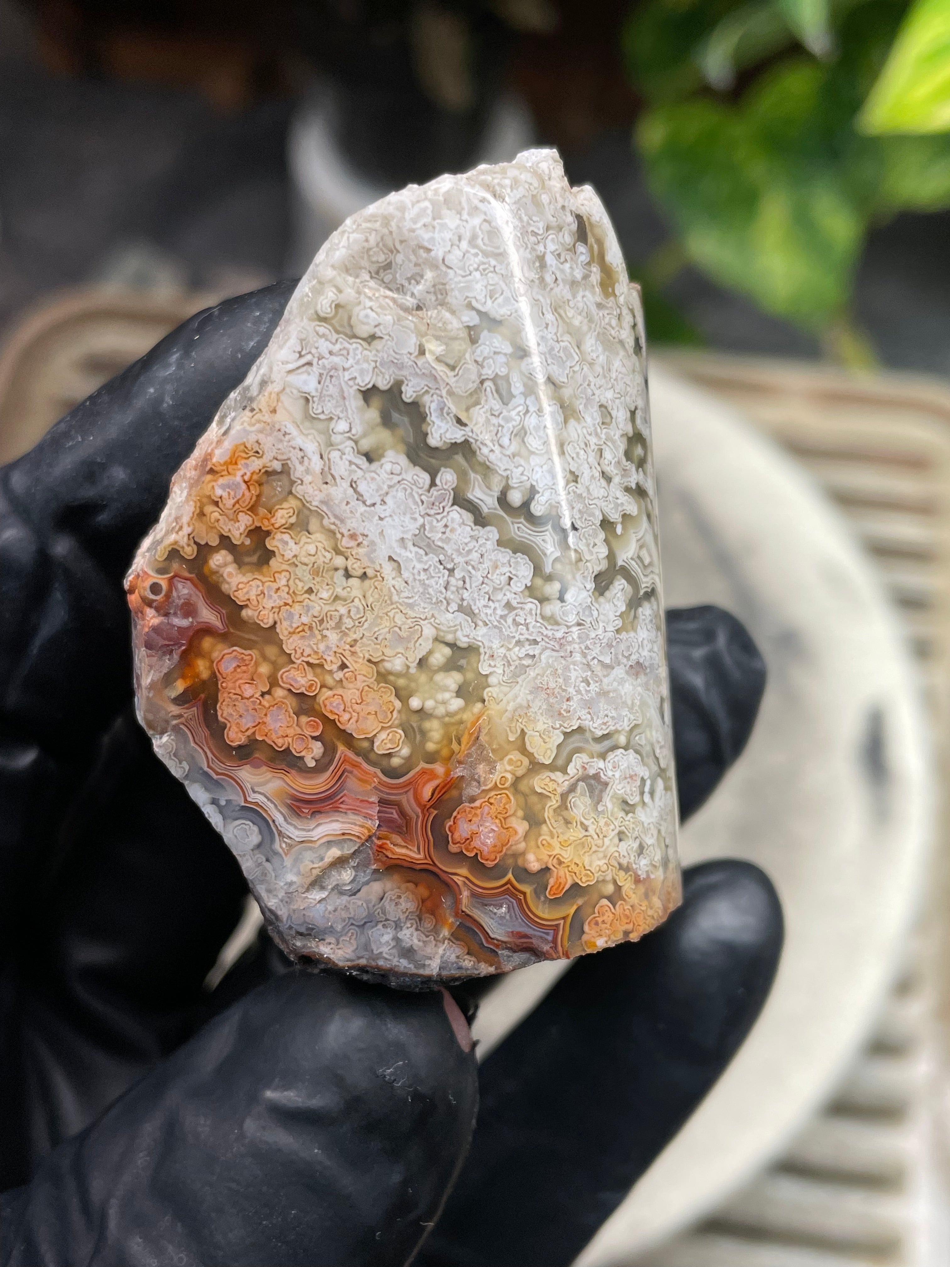 StoneBorn Creations Hand-Polished Lace Agate with Intricate White Plume Banding, Earth Tones & Natural Freeform Finish