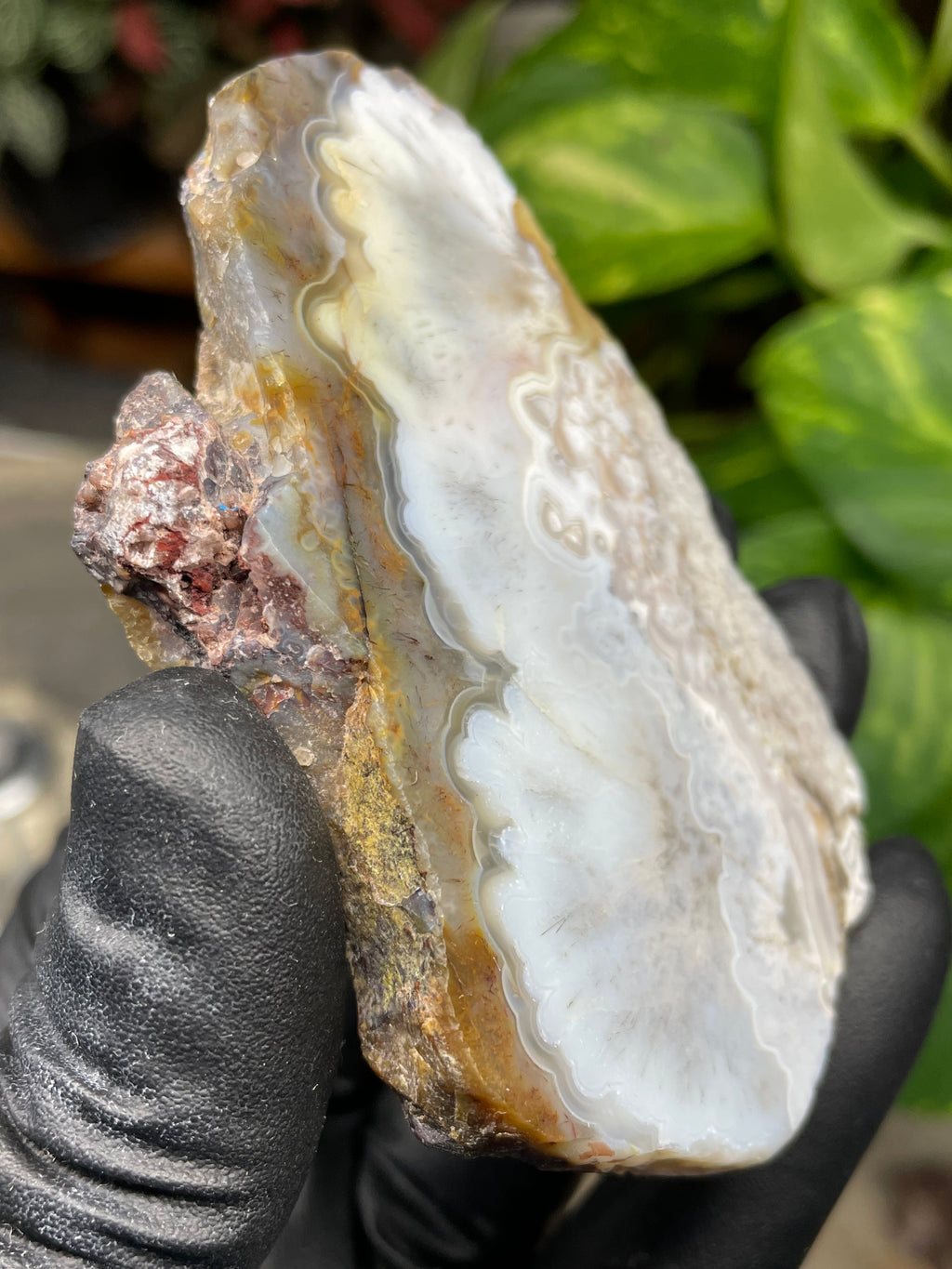 StoneBorn Creations Hand-Polished Agate Pair – Soft White Plume Details, Natural Banding & Raw Earthy Edges