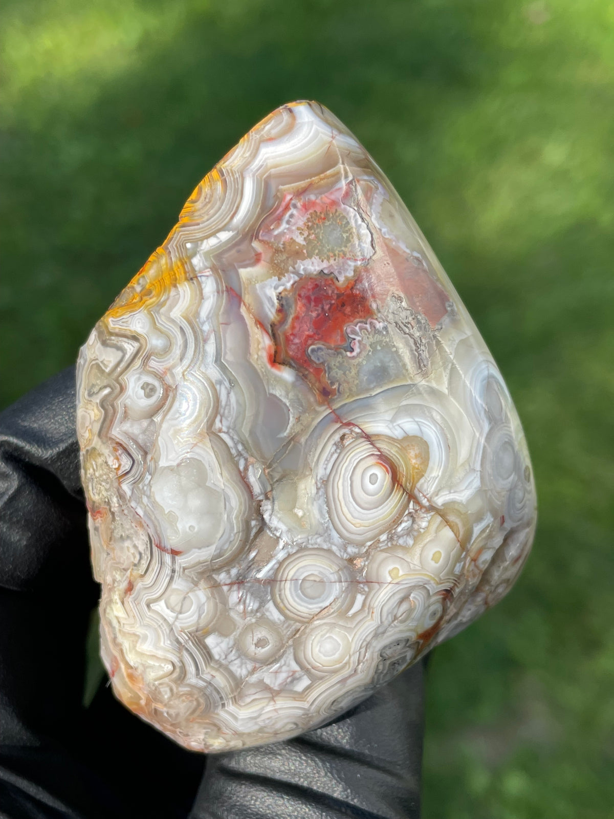 StoneBorn Creations Crazy Lace Agate Freeform – Hand Polished Natural Specimen