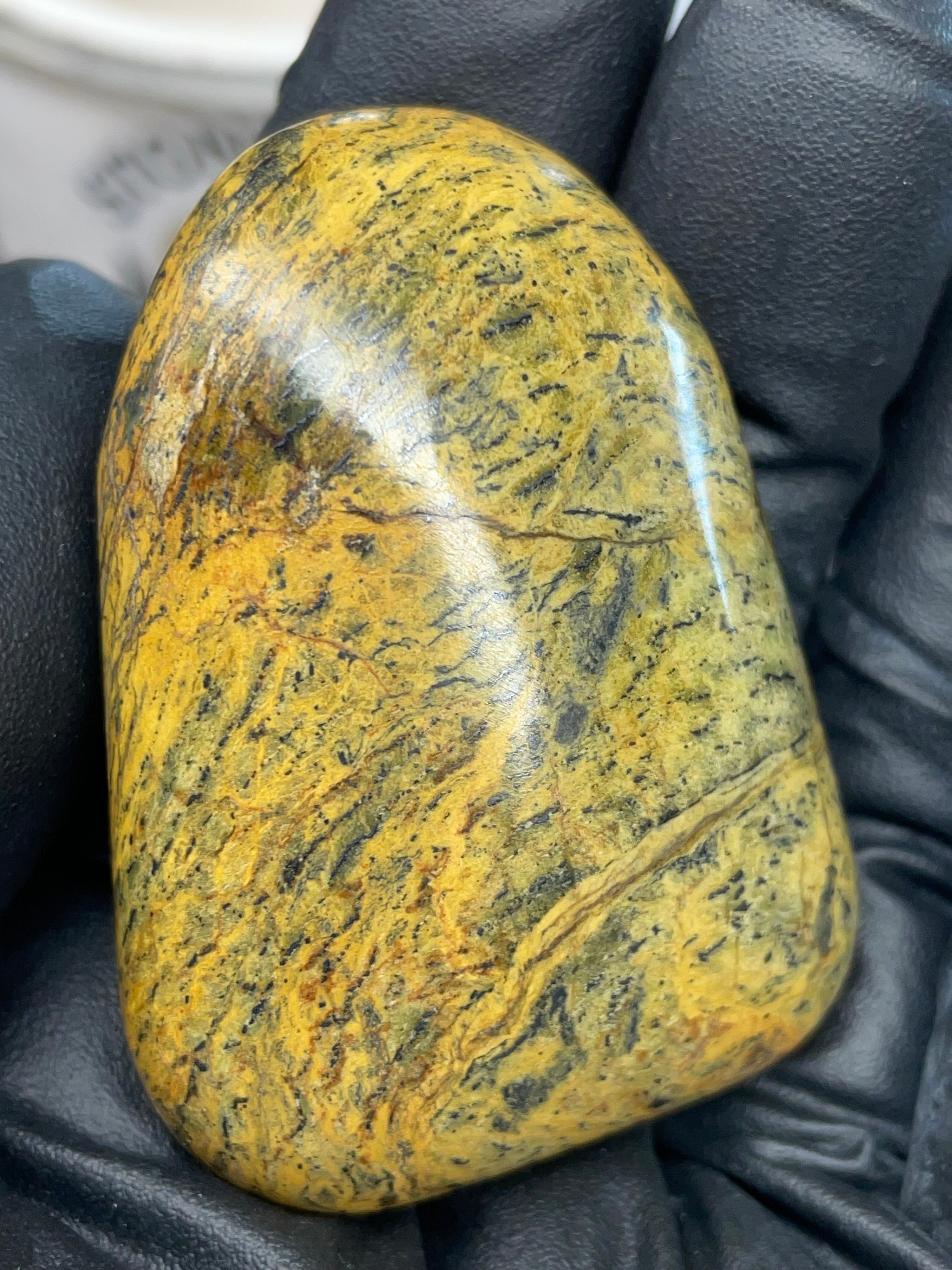 Hand-Polished Golden Serpentine | One-of-One River Stone
