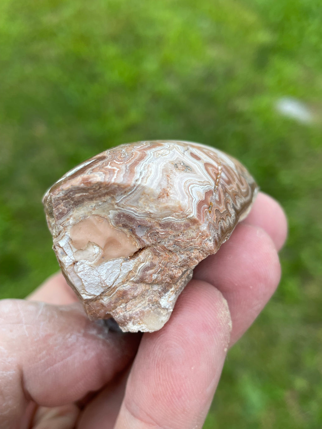 StoneBorn Creations Hand-Polished Georgia Crazy Lace Agate Freeform Display Stone – One-of-a-Kind Natural Art
