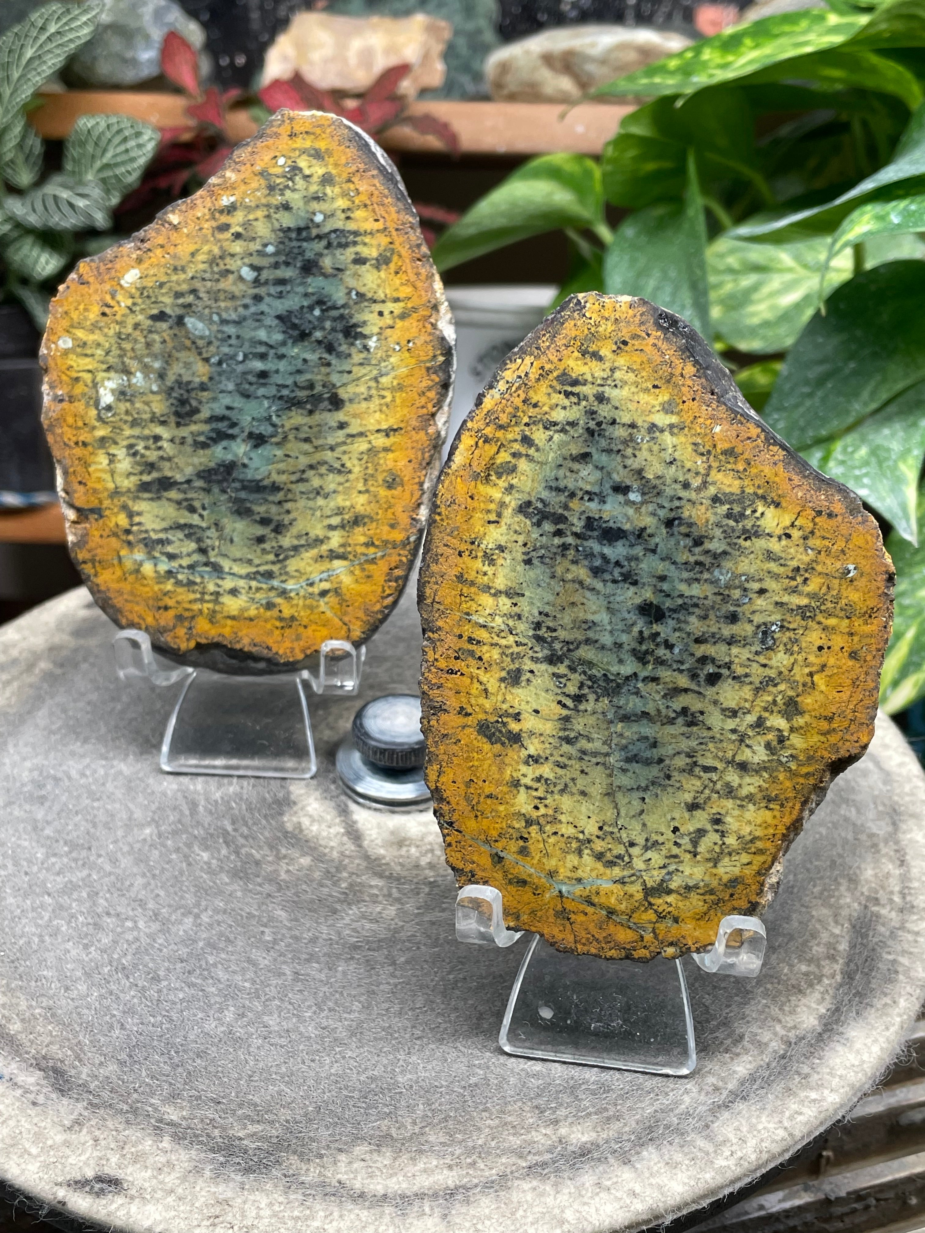 StoneBorn Creations Hand-Polished Vermont Greenstone Pair with Earthy Ochre Weathering and Natural Black Mineral Patterning – Freeform Display Halves