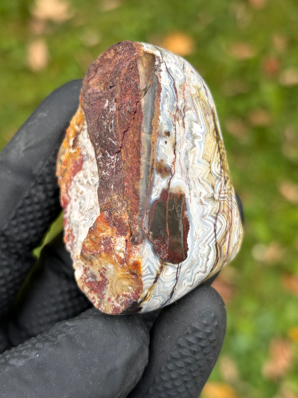 StoneBorn Creations – Crazy Lace Agate | Intricate Blue, Cream & Golden Banding | Hand-Polished Natural Stone