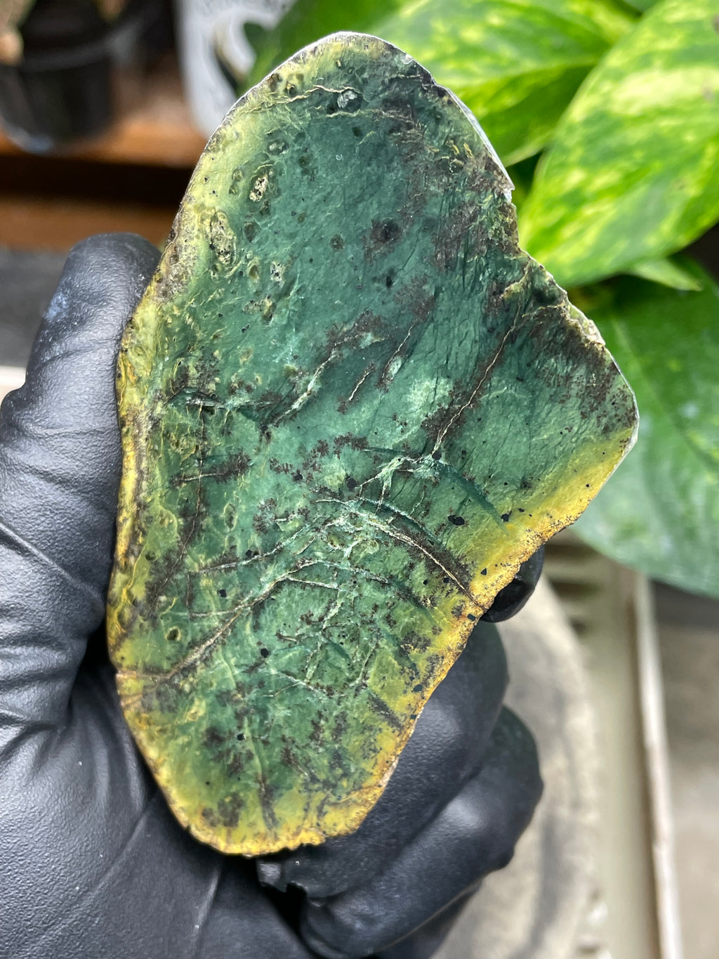 StoneBorn Creations Hand-Polished Vermont Greenstone Pair – Deep Emerald Interior Freeform Halves with Natural Earthy Matrix