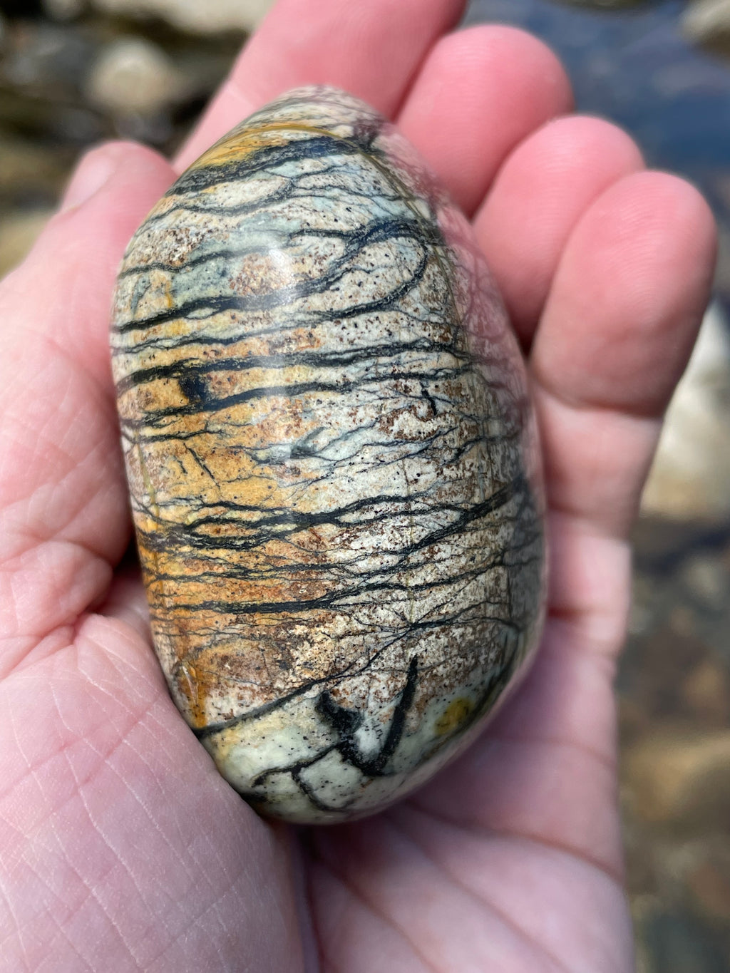 StoneBorn Creations Hand-Polished River Stone Freeform with Natural Black Webbing Patterns and Earthy Veining