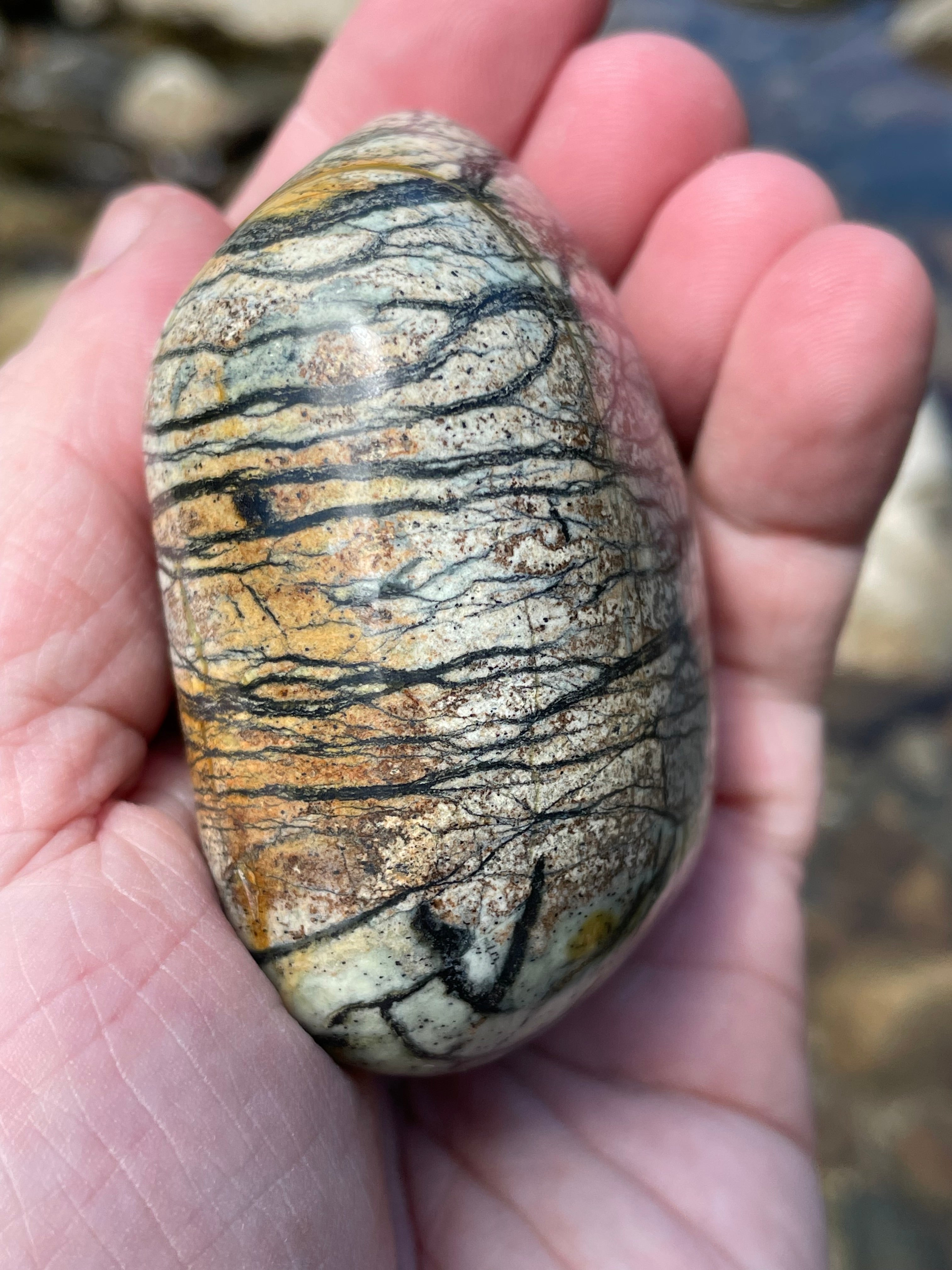 StoneBorn Creations Hand-Polished River Stone Freeform with Natural Black Webbing Patterns and Earthy Veining