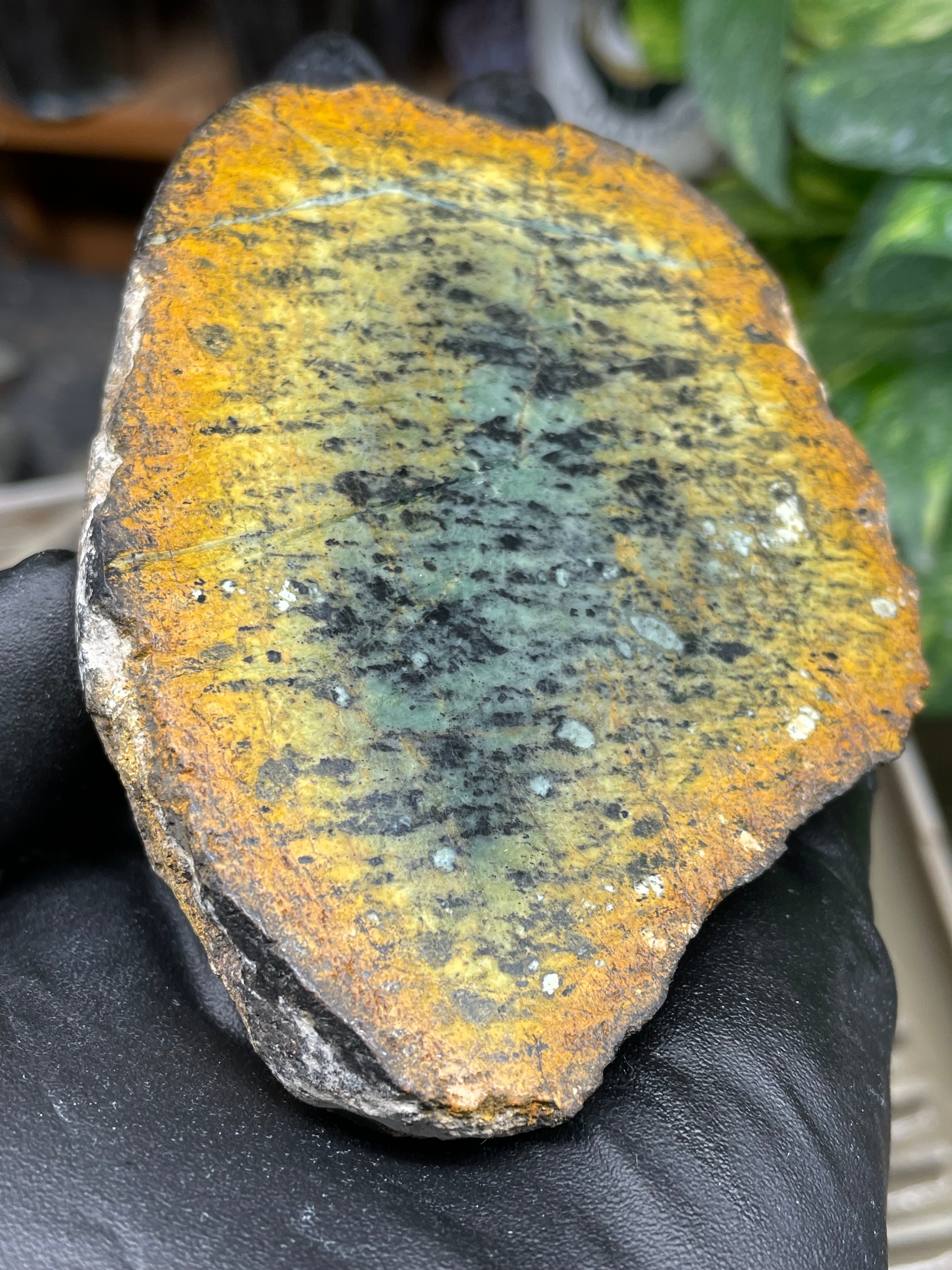 StoneBorn Creations Hand-Polished Vermont Greenstone Pair with Earthy Ochre Weathering and Natural Black Mineral Patterning – Freeform Display Halves