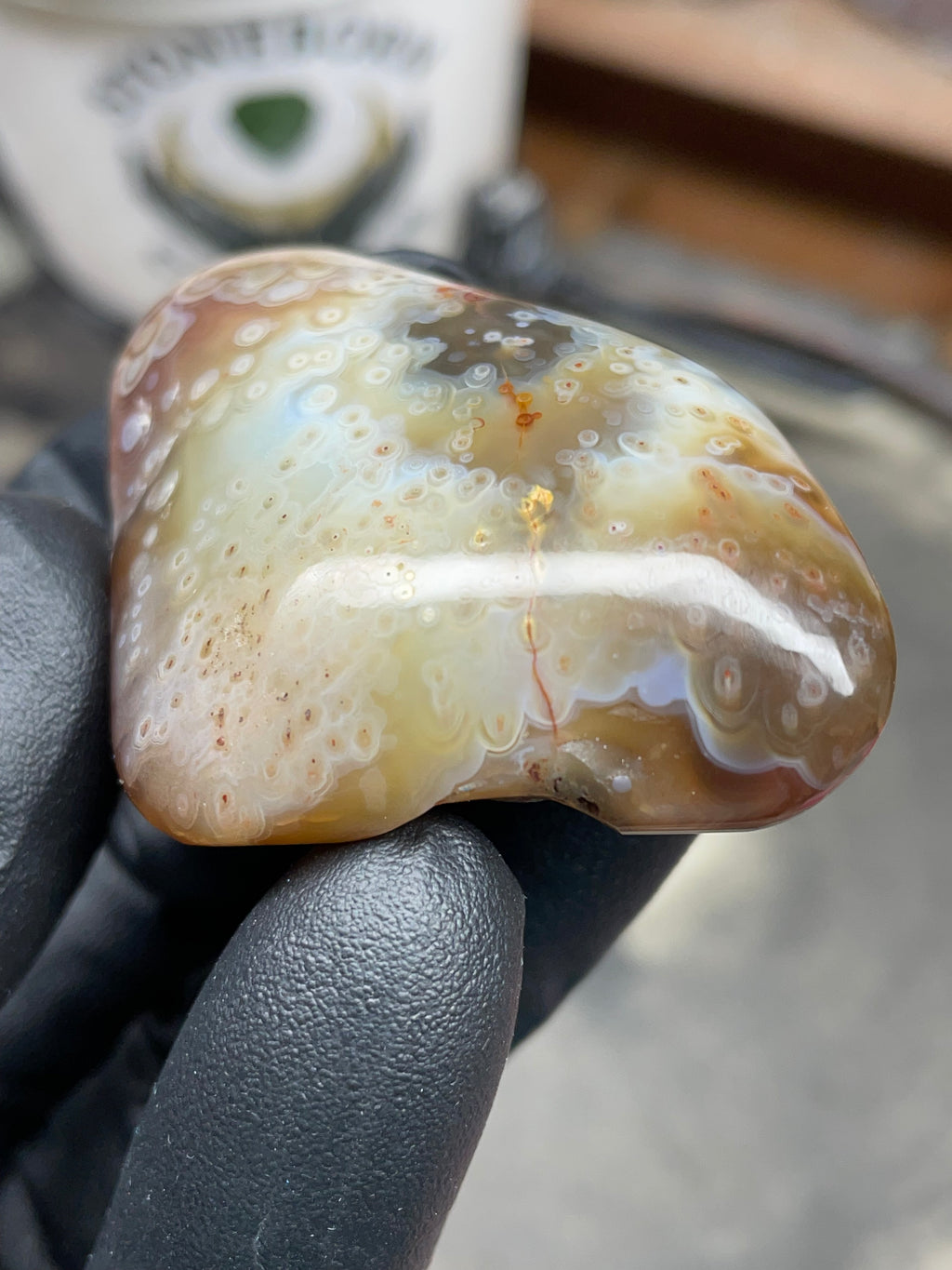 StoneBorn Creations Hand-Polished Botswana Agate – Orbicular “Eye” Patterns with Natural Pocket
