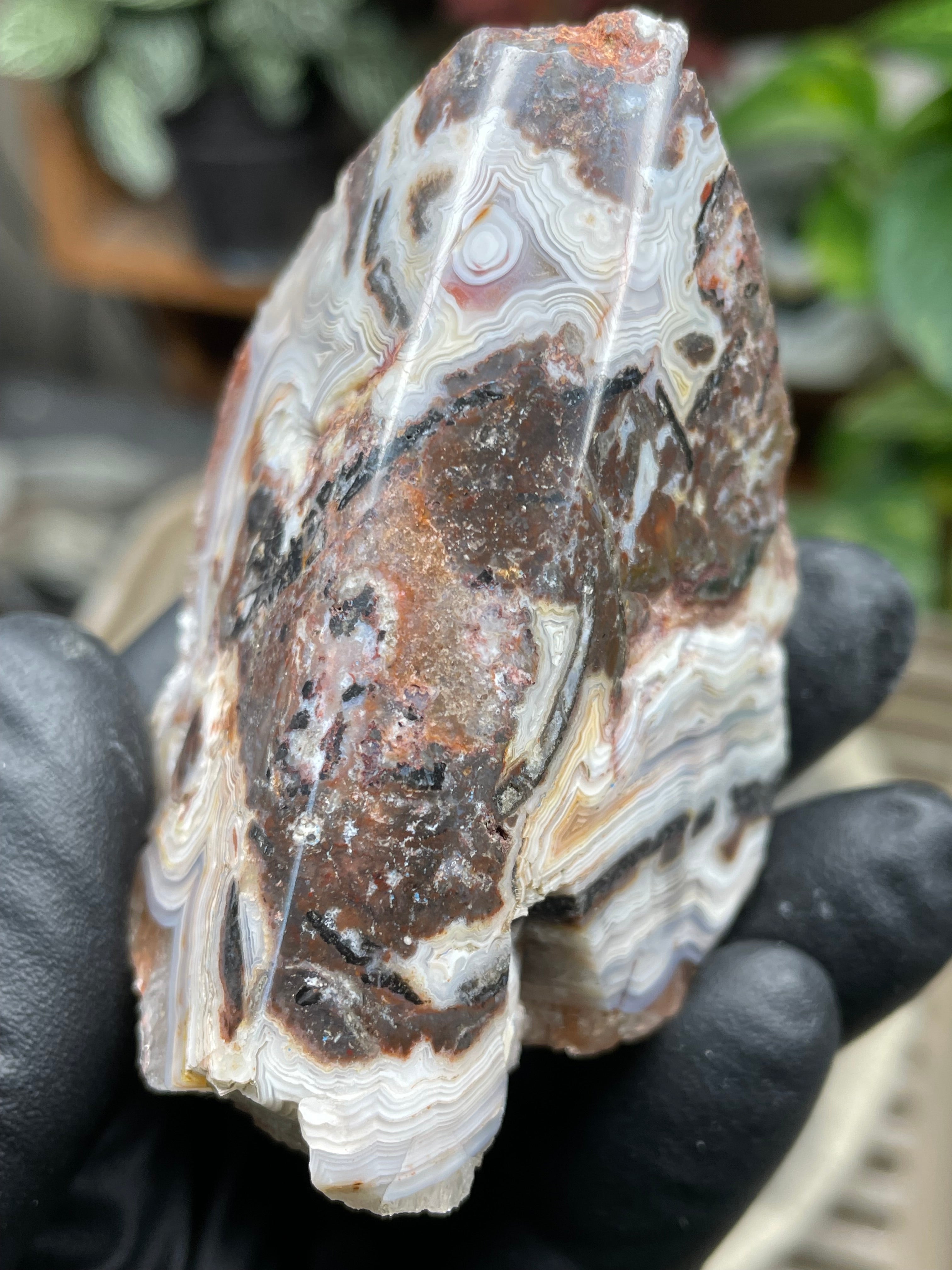 StoneBorn Creations Hand-Polished Lace Agate Freeform with Curved Polished Face, Intricate Fortification Banding & Natural Druzy Crystal Backing