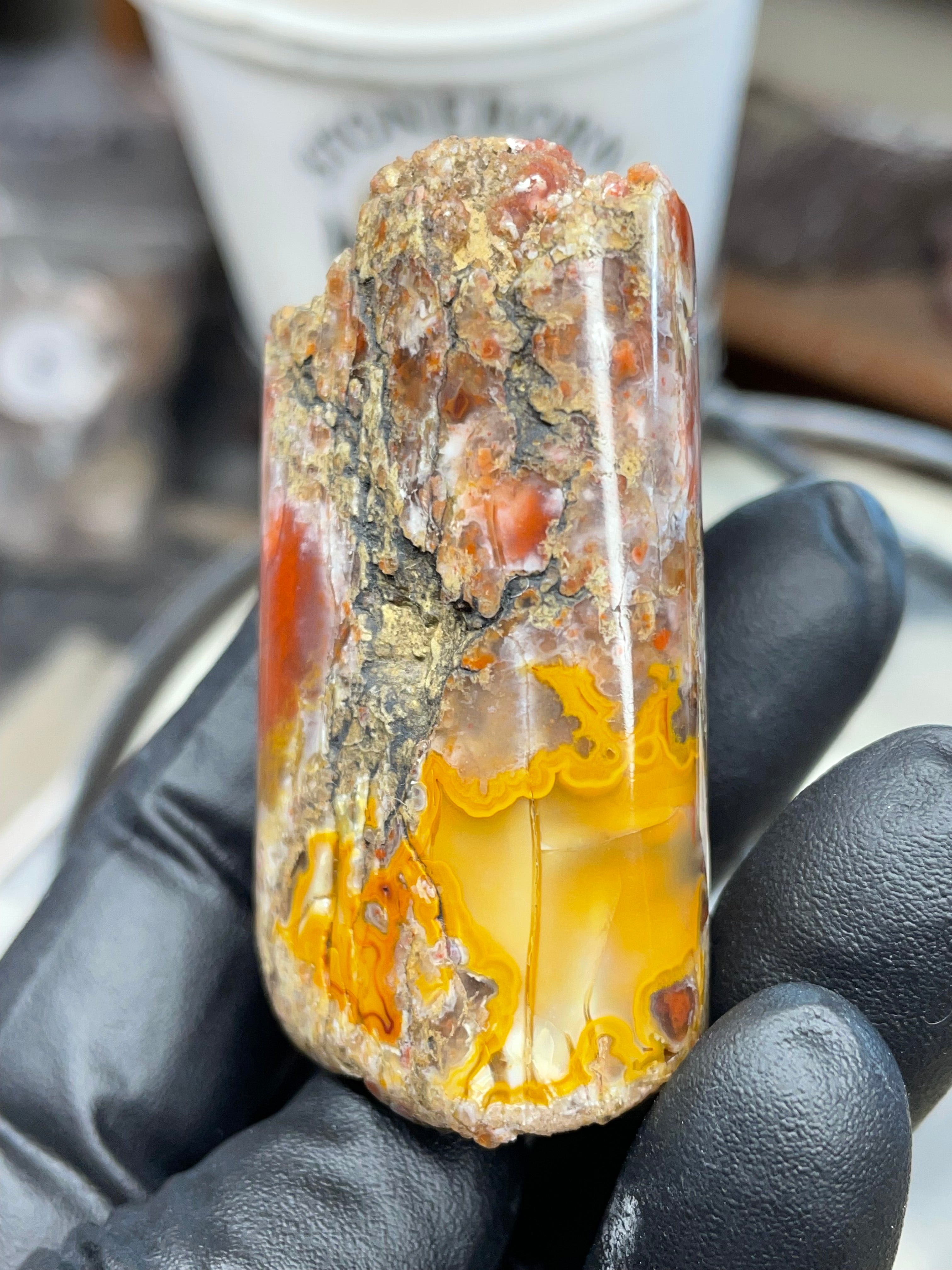 Hand-Polished Banded Agate — Raw & Refined StoneBorn Piece