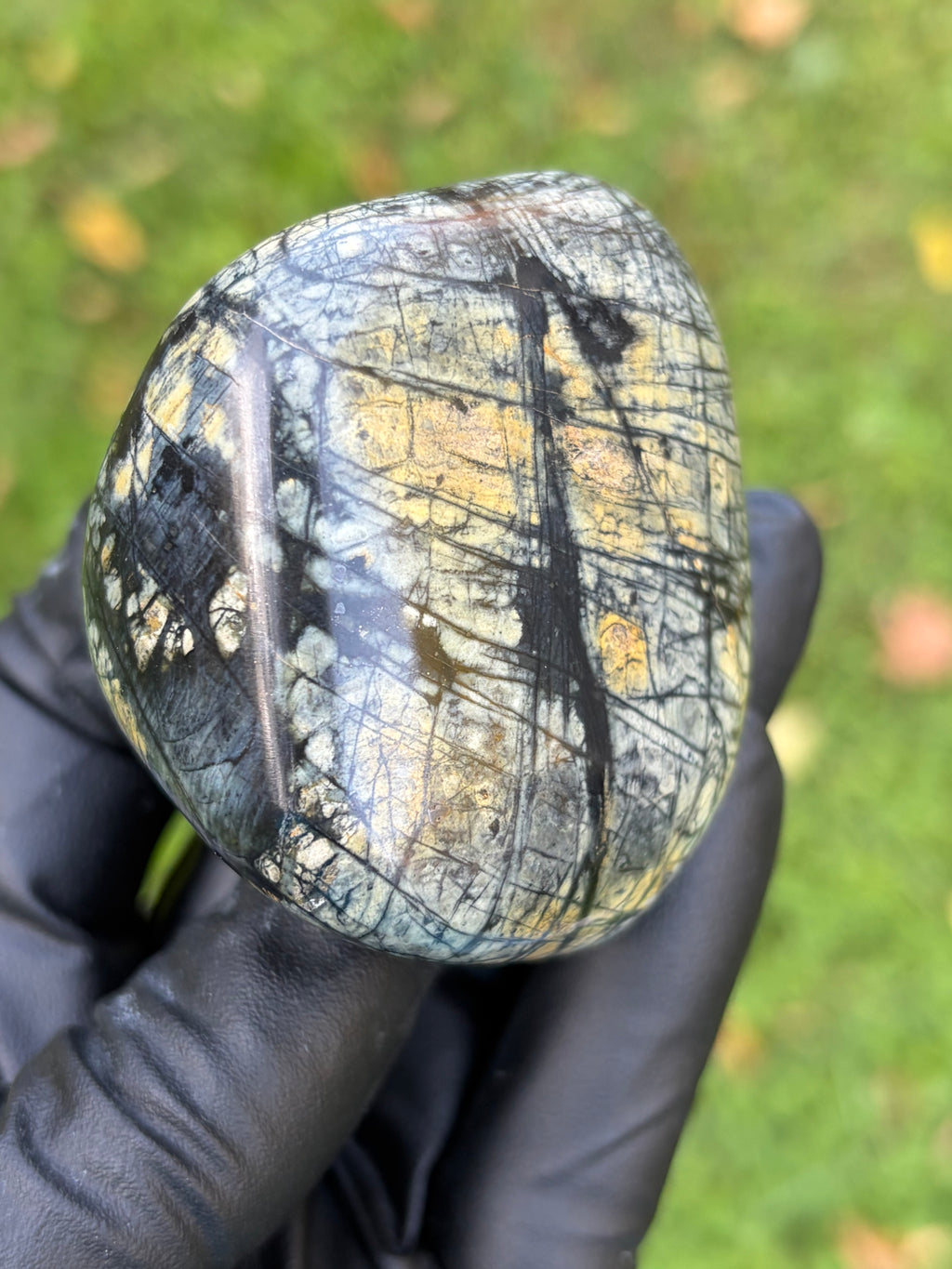 StoneBorn Creations – Vermont Brecciated Greenstone / Serpentine