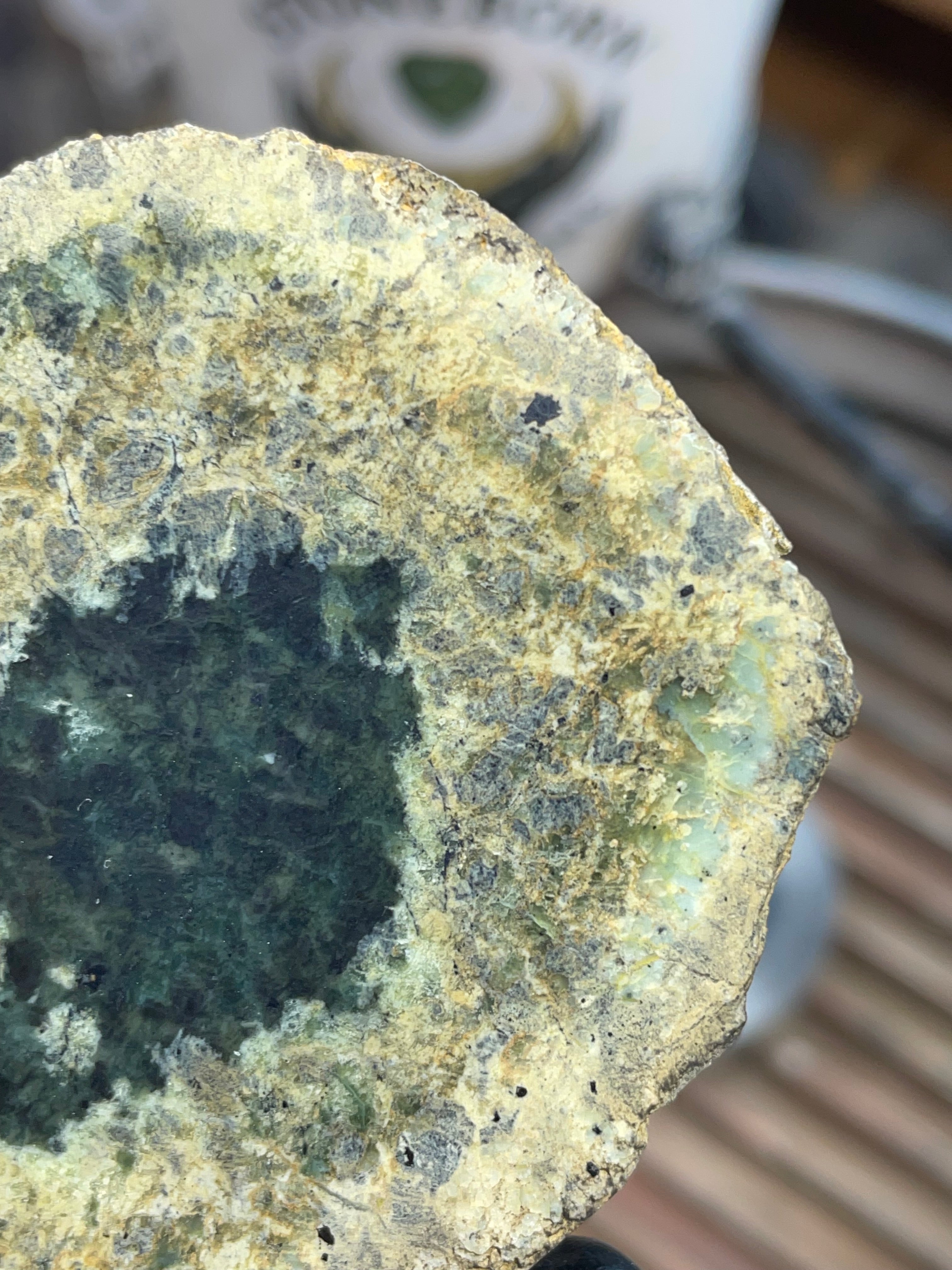 Hand-Collected Serpentine with Natural Jade Core | Raw & Polished StoneBorn Specimen