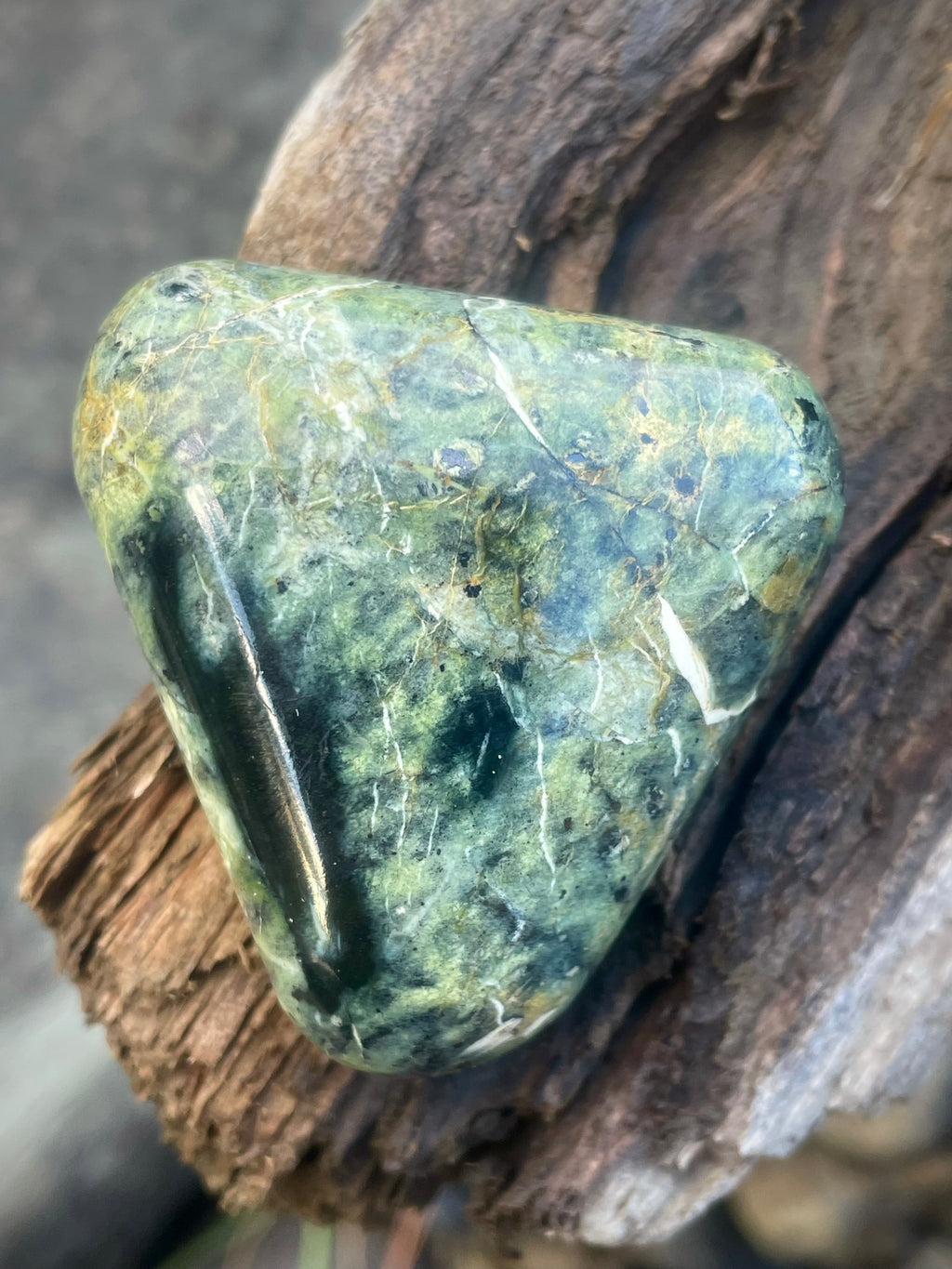 🌲 Polished Vermont Greenstone – Forest Glow Veining (Hand-Collected & Finished)