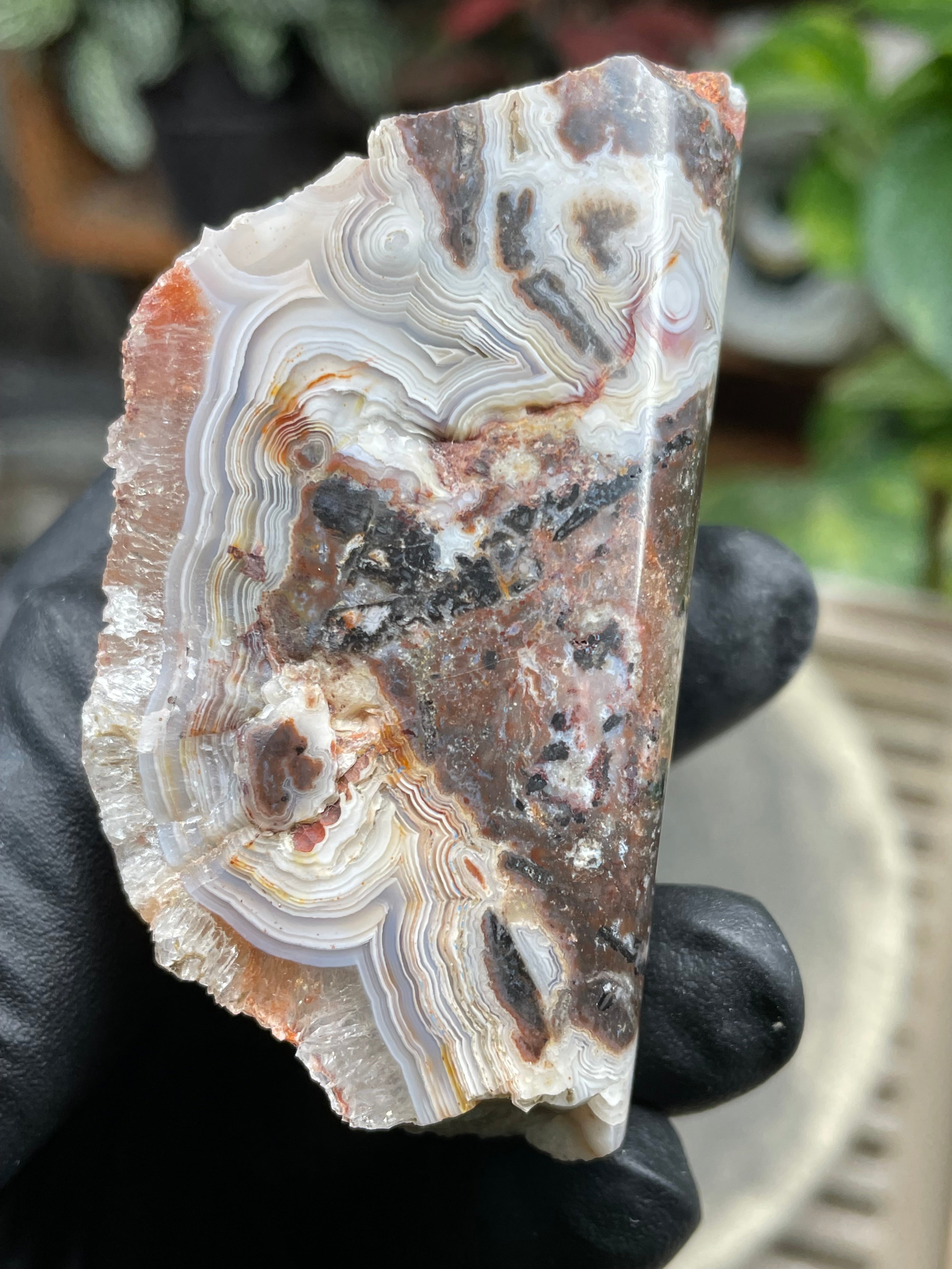 StoneBorn Creations Hand-Polished Lace Agate Freeform with Curved Polished Face, Intricate Fortification Banding & Natural Druzy Crystal Backing
