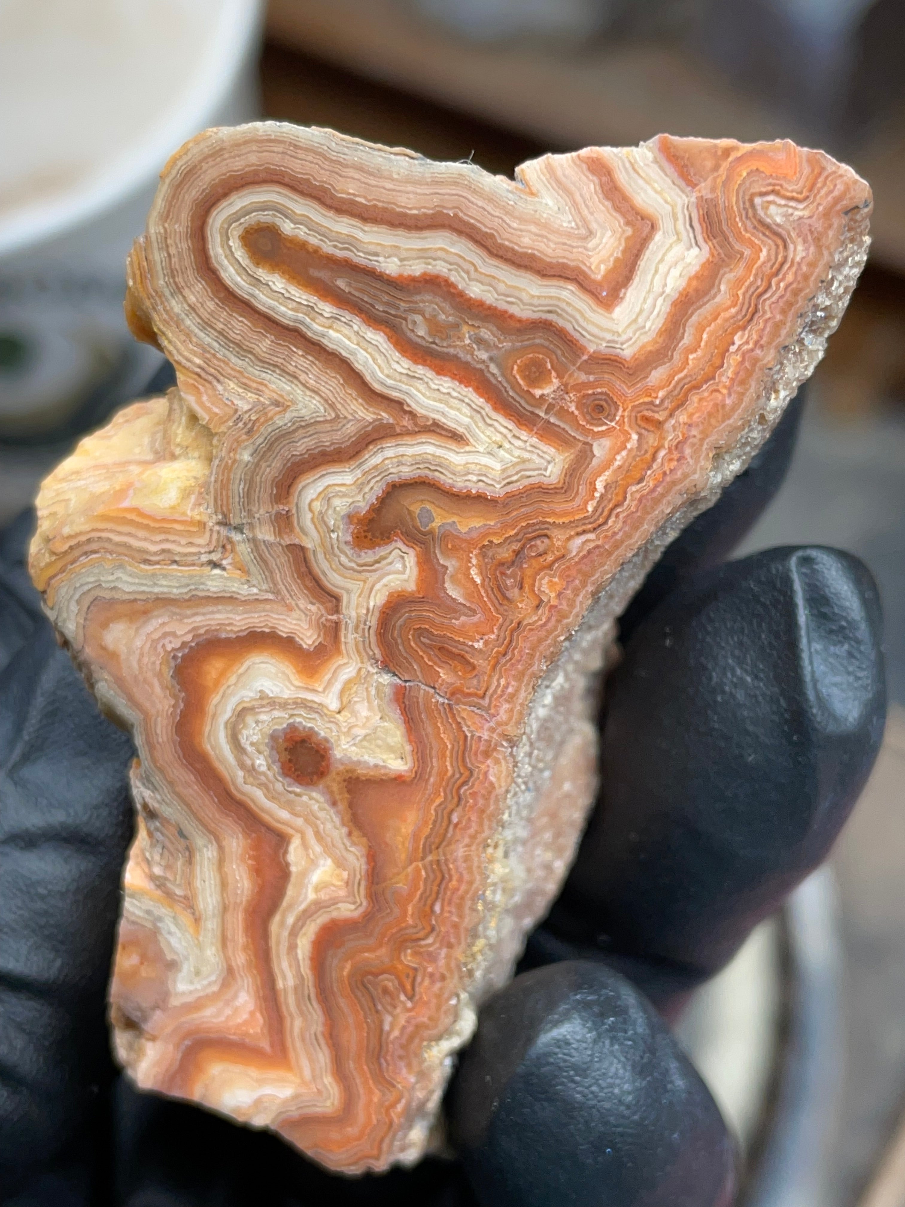 Hand-Polished Georgia Agate – Flat Polished Face, Natural Raw Edge