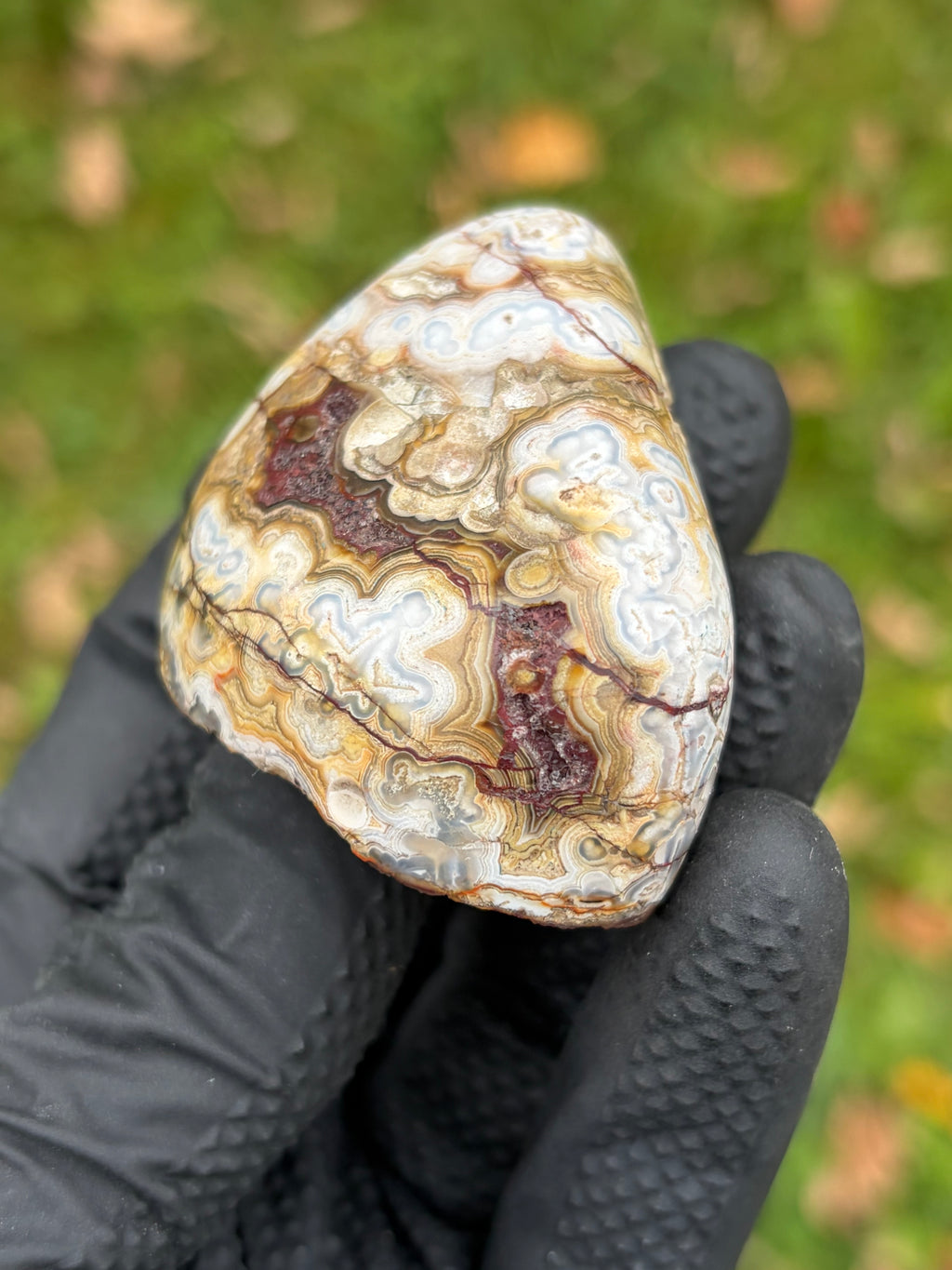 StoneBorn Creations – Crazy Lace Agate | Intricate Blue, Cream & Golden Banding | Hand-Polished Natural Stone