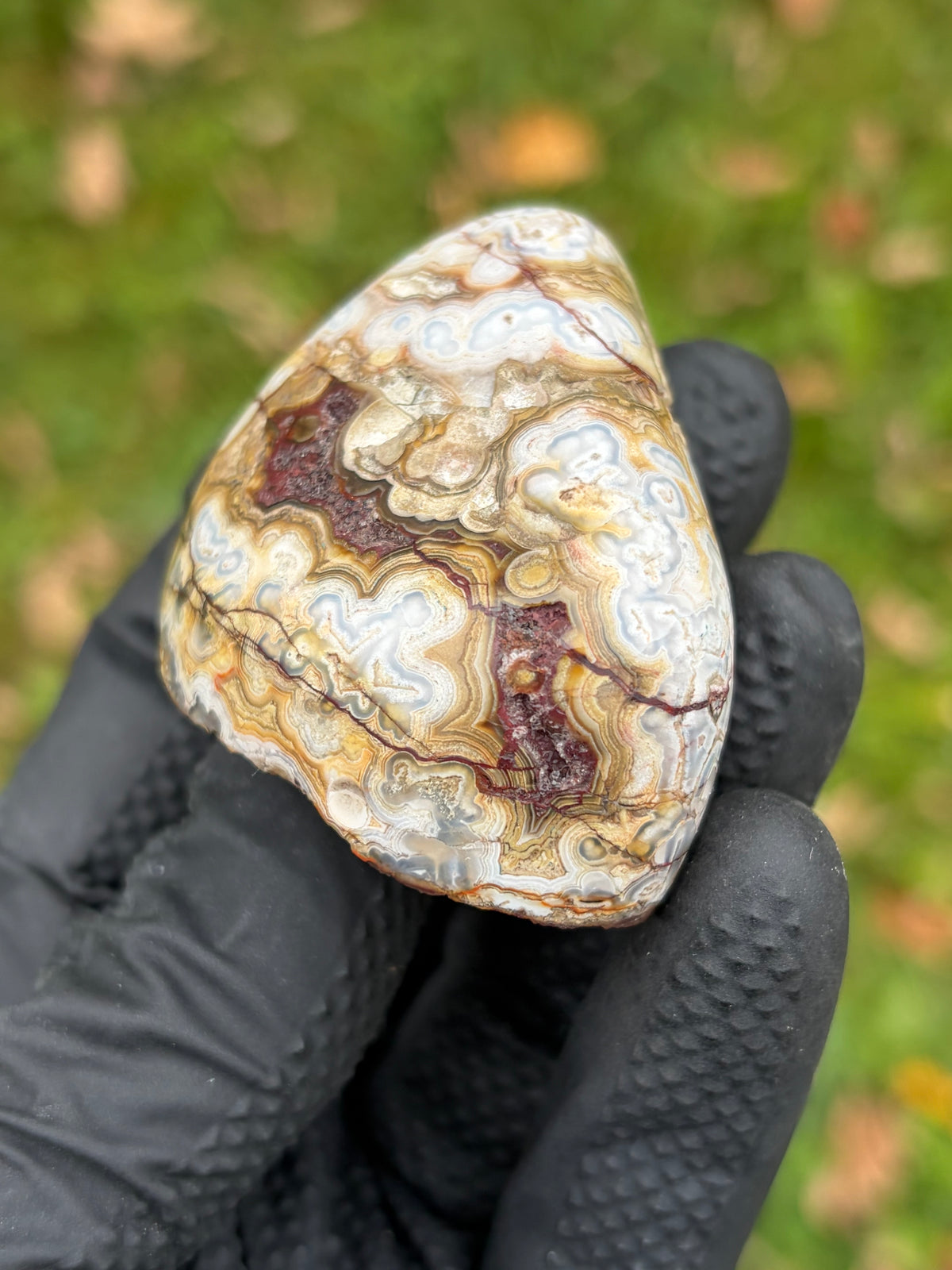 StoneBorn Creations – Crazy Lace Agate | Intricate Blue, Cream & Golden Banding | Hand-Polished Natural Stone