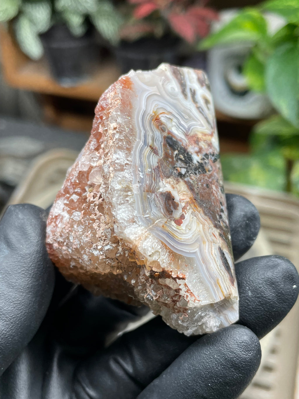 StoneBorn Creations Hand-Polished Lace Agate Freeform with Curved Polished Face, Intricate Fortification Banding & Natural Druzy Crystal Backing