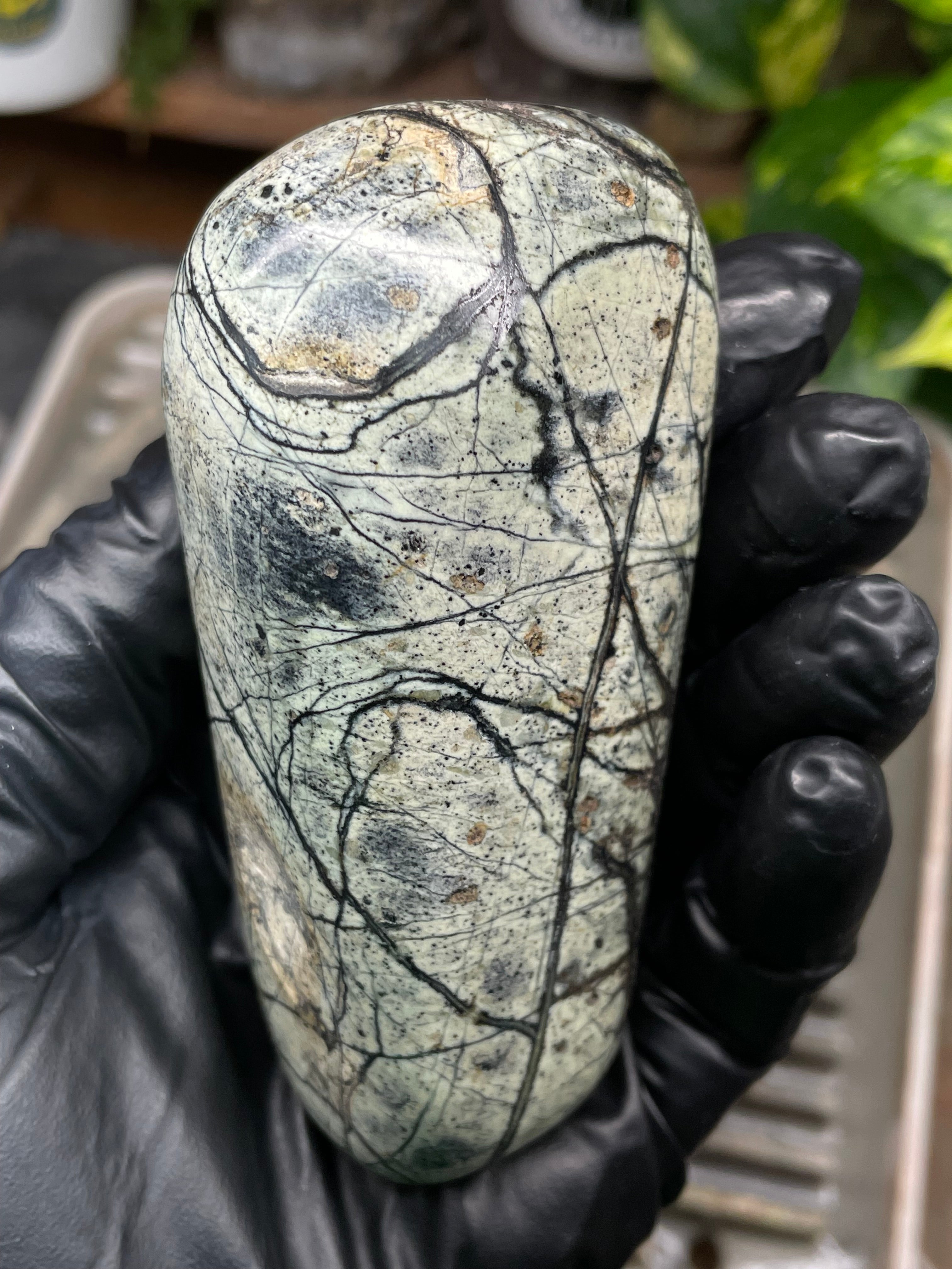 StoneBorn Creations Hand-Polished Vermont Serpentine with Spiderweb Veining, Soft Ivory Green Tones, and Natural Earth Markings