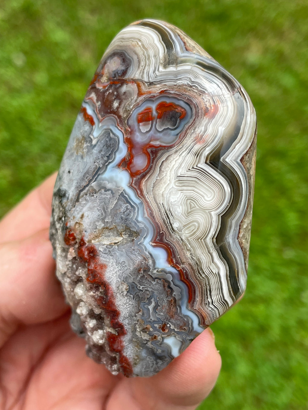 StoneBorn Creations Hand-Polished Curved Lace Agate Freeform with Natural Druzy Quartz Pocket and Fortification Banding